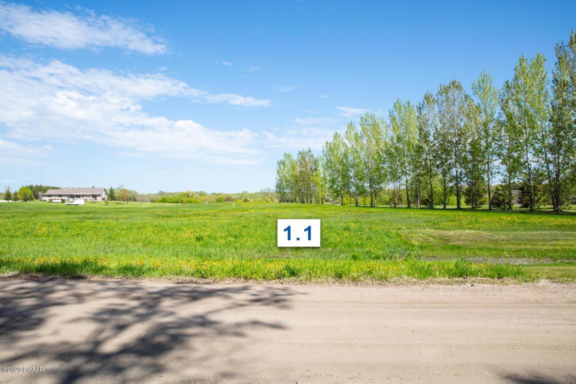 land for sale at 310 Lot1.1 Mallard Lane in Brandon, MN