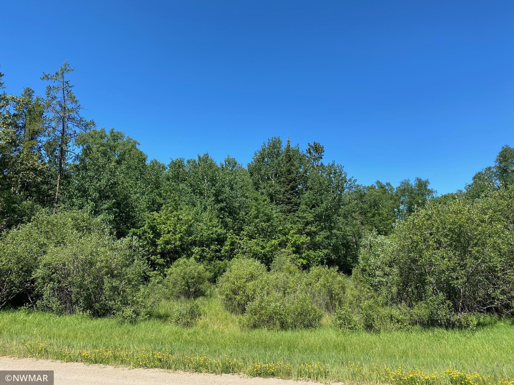 land for sale at TBD (L11,B2) Grant Hills Road SW in Bemidji, MN