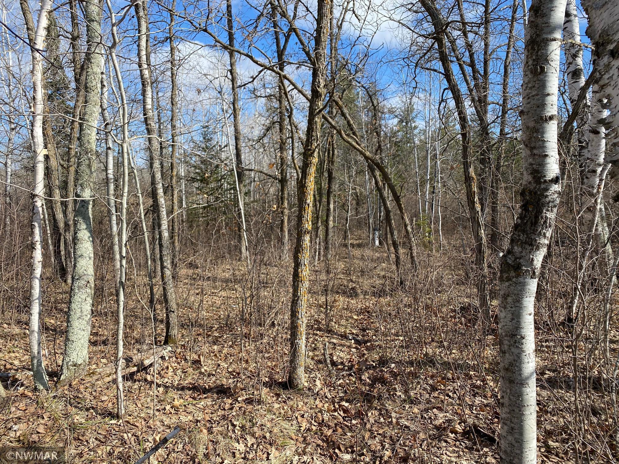land for sale at TBD (L11,B2) Grant Hills Road SW in Bemidji, MN (photo 2 of 7)