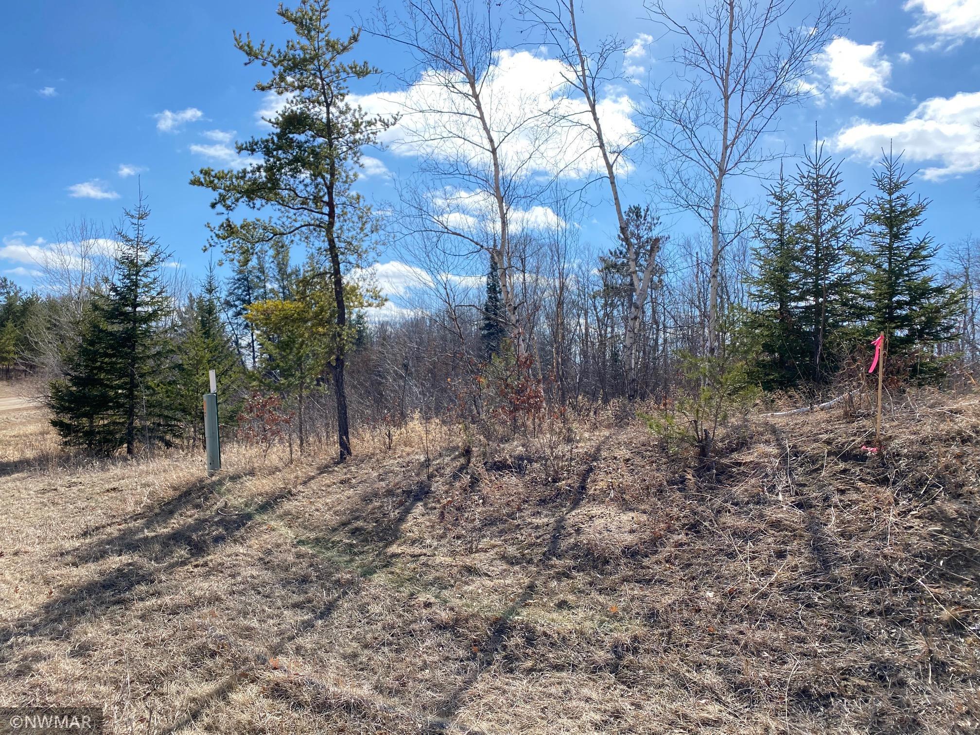 land for sale at TBD (L11,B2) Grant Hills Road SW in Bemidji, MN (photo 4 of 7)