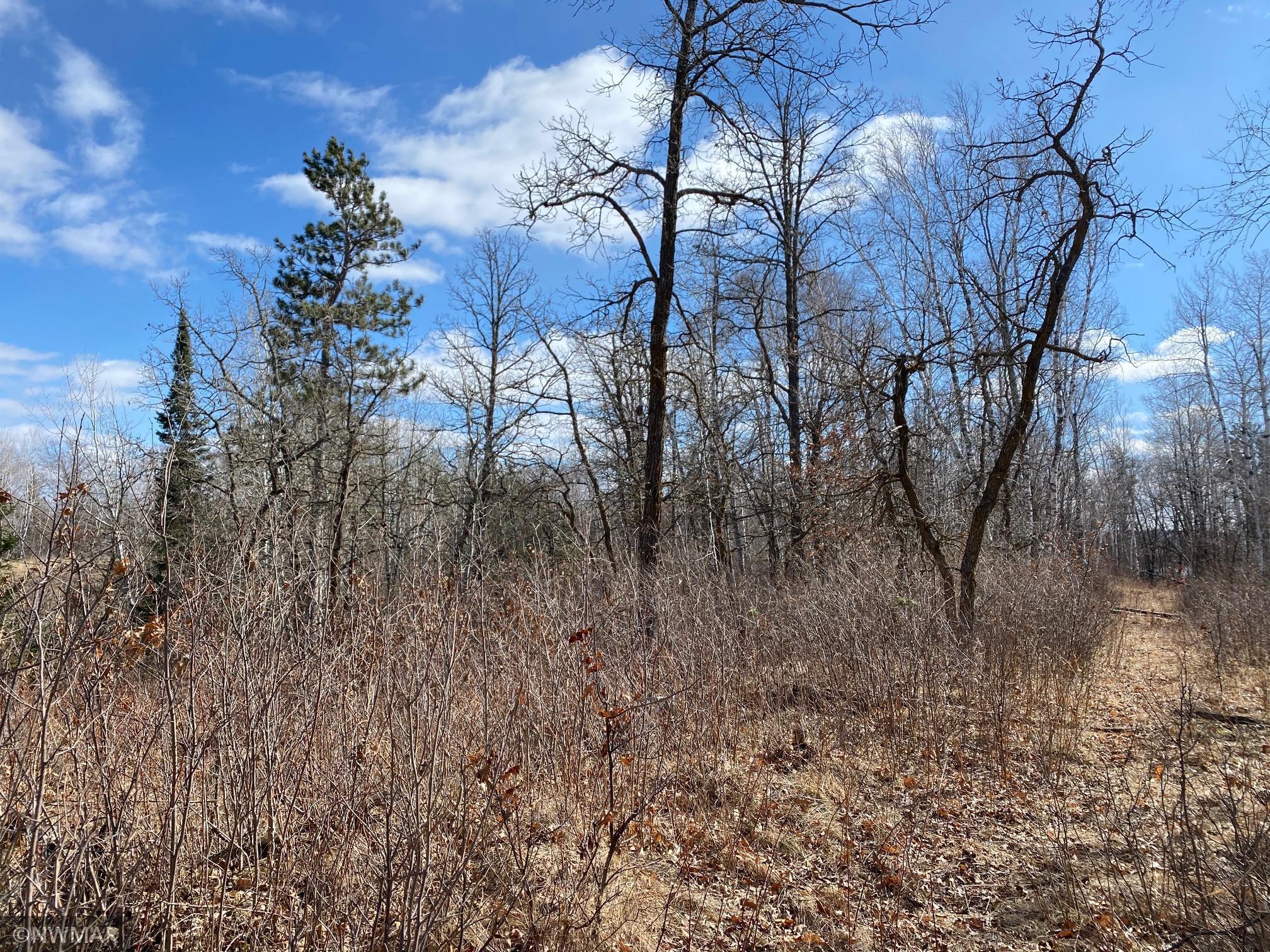 land for sale at TBD (L11,B2) Grant Hills Road SW in Bemidji, MN (photo 5 of 7)