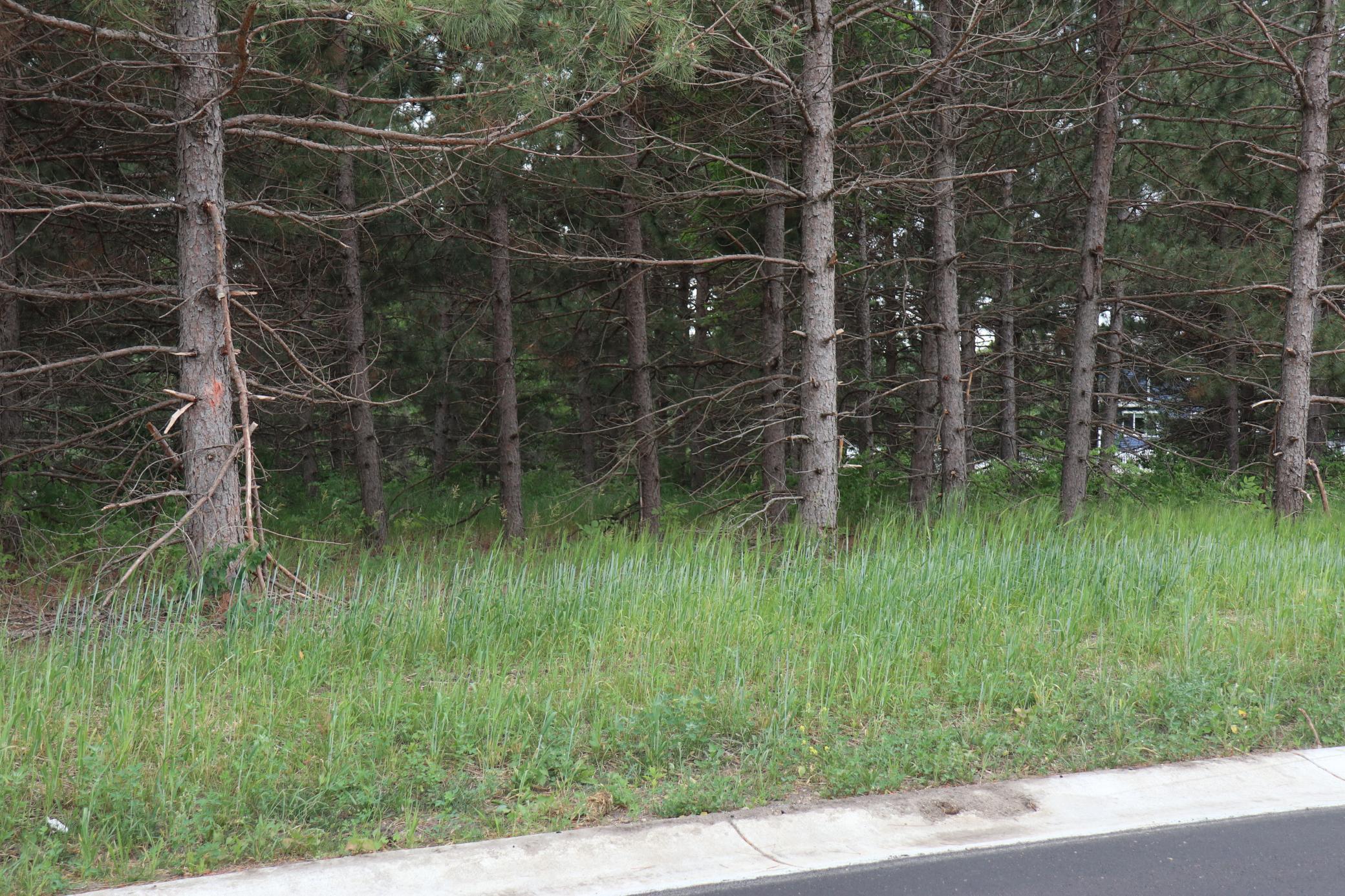 land for sale at 1913 Long Pine Drive in Detroit Lakes, MN (photo 7 of 10)