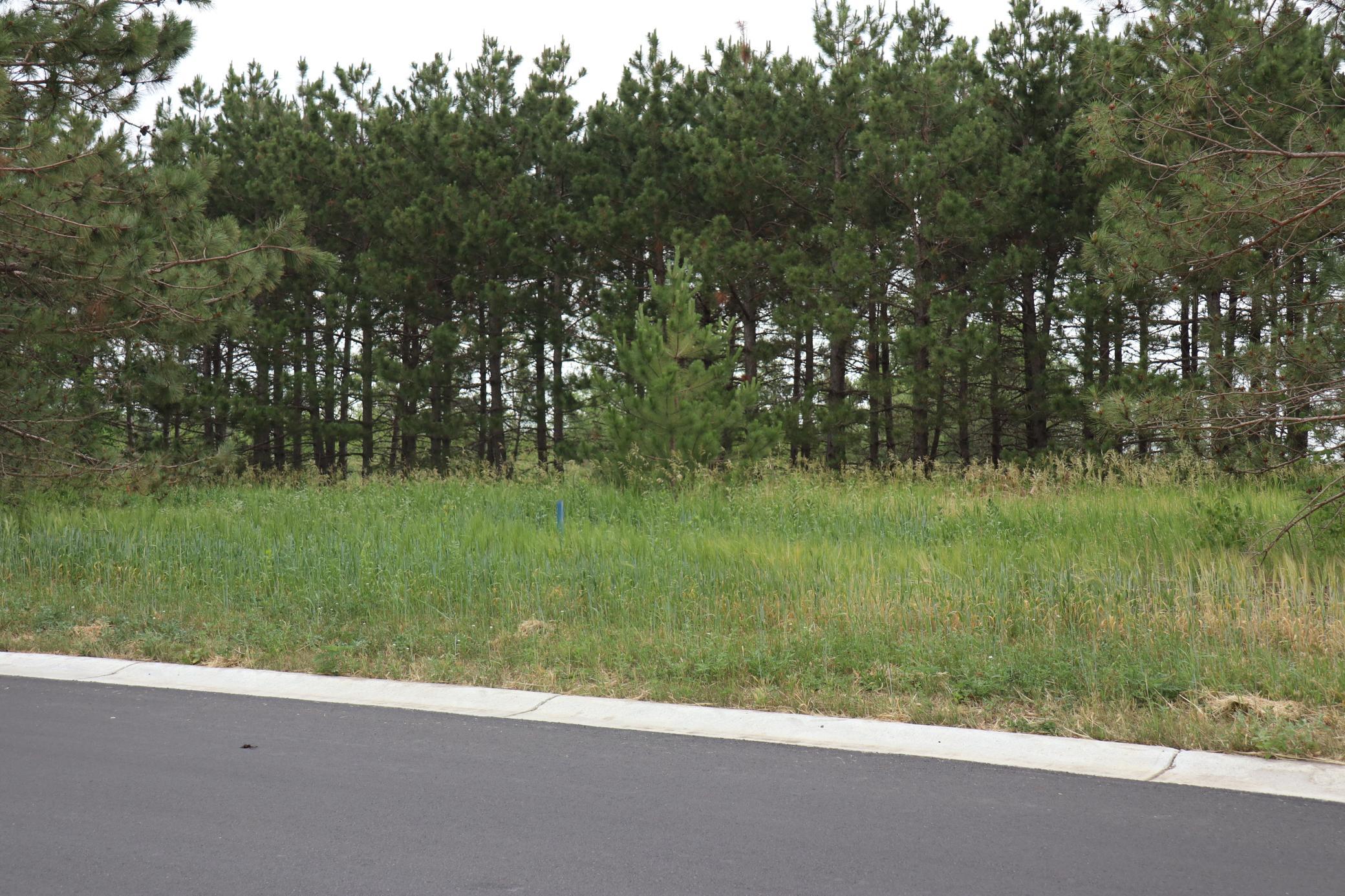 land for sale at 1981 Long Pine Drive in Detroit Lakes, MN (photo 6 of 12)
