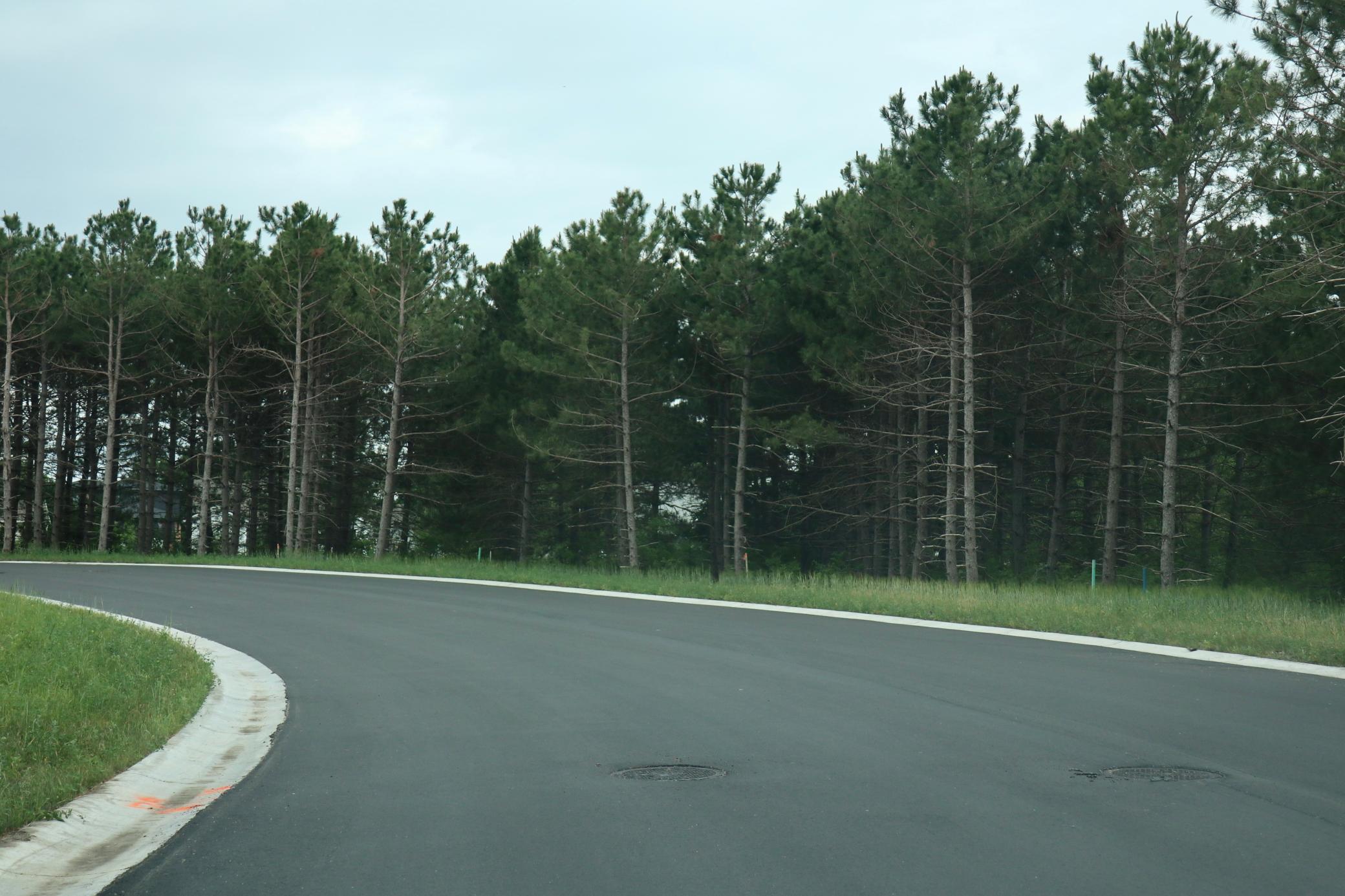 land for sale at 1981 Long Pine Drive in Detroit Lakes, MN (photo 9 of 12)