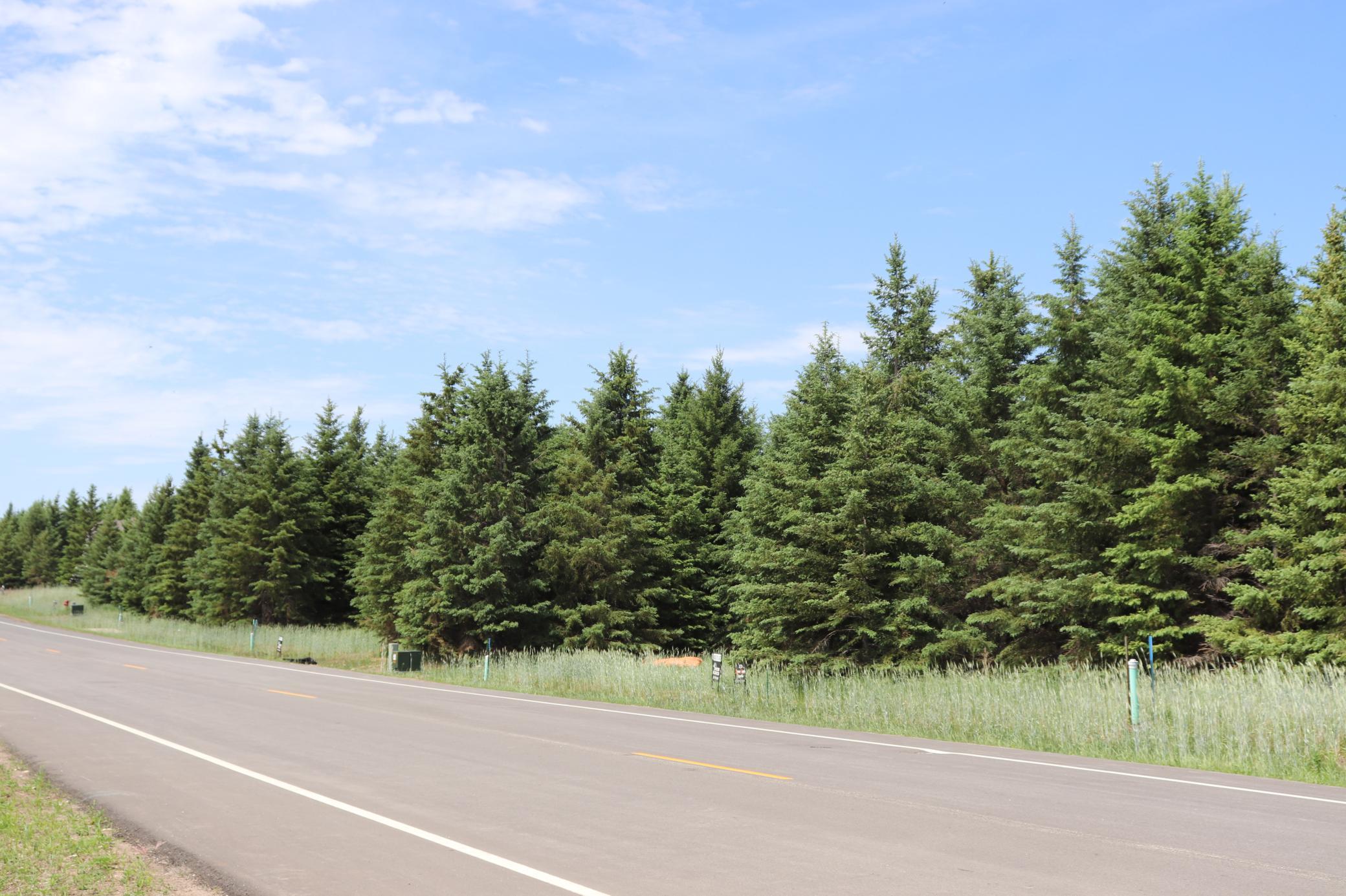 land for sale at 1960 Long Prairie Lane in Detroit Lakes, MN (photo 2 of 5)
