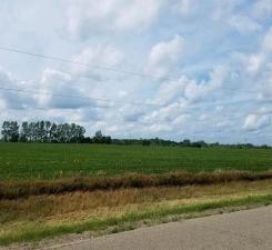 land for sale at 5xxx W Lake Burgen Road SE in Alexandria, MN