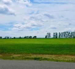 land for sale at 5xxx W Lake Burgen Road SE in Alexandria, MN (photo 4 of 8)