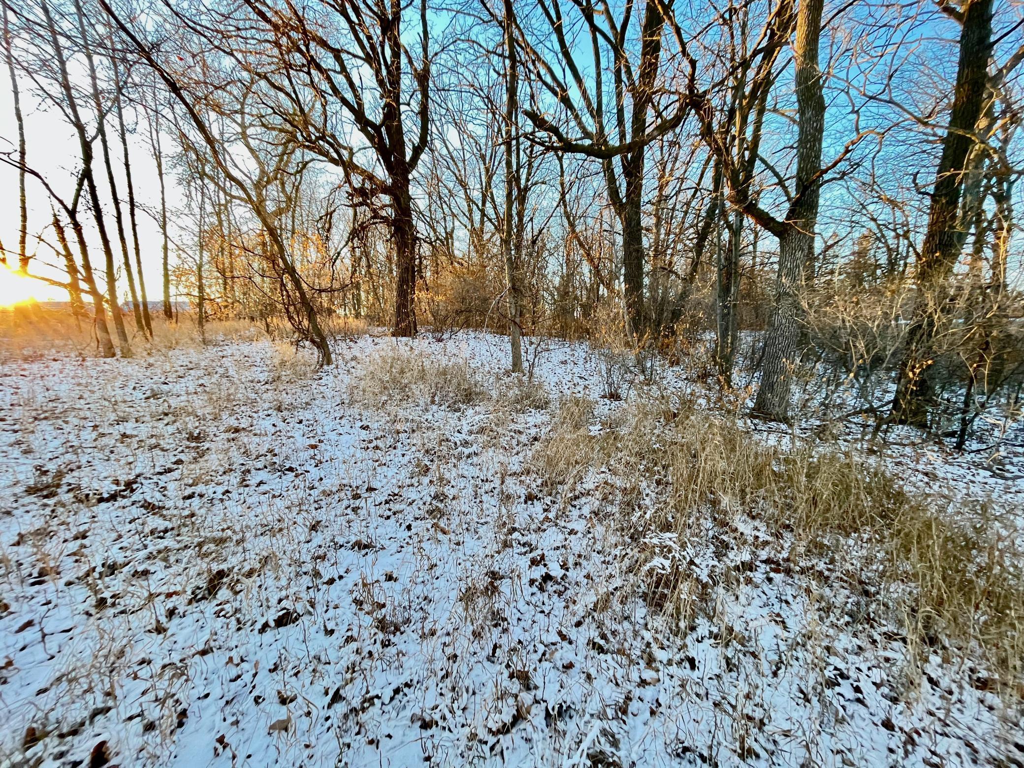 land for sale at 10XX S Broadway in Pelican Rapids, MN (photo 11 of 15)