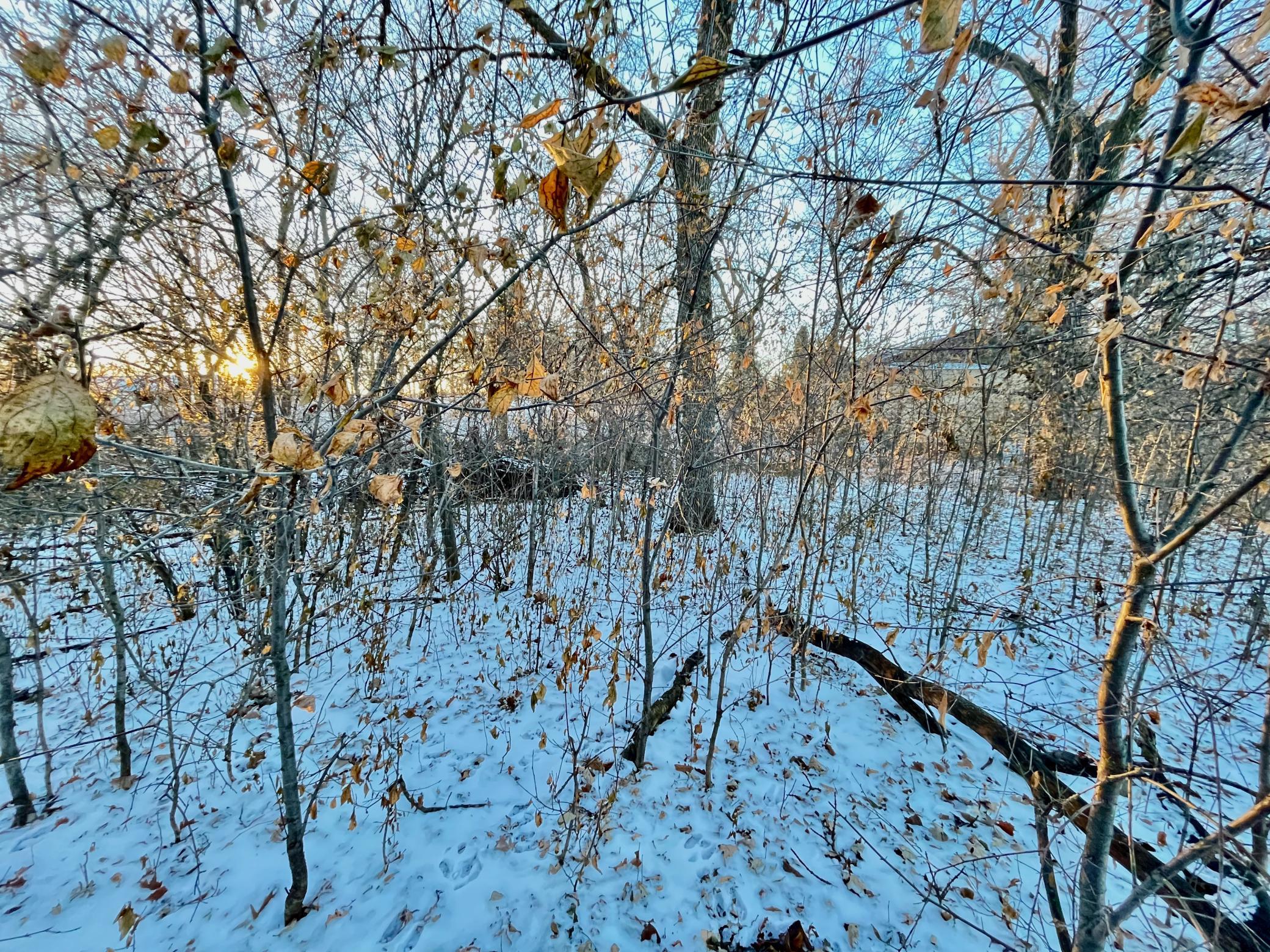 land for sale at 10XX S Broadway in Pelican Rapids, MN (photo 13 of 15)