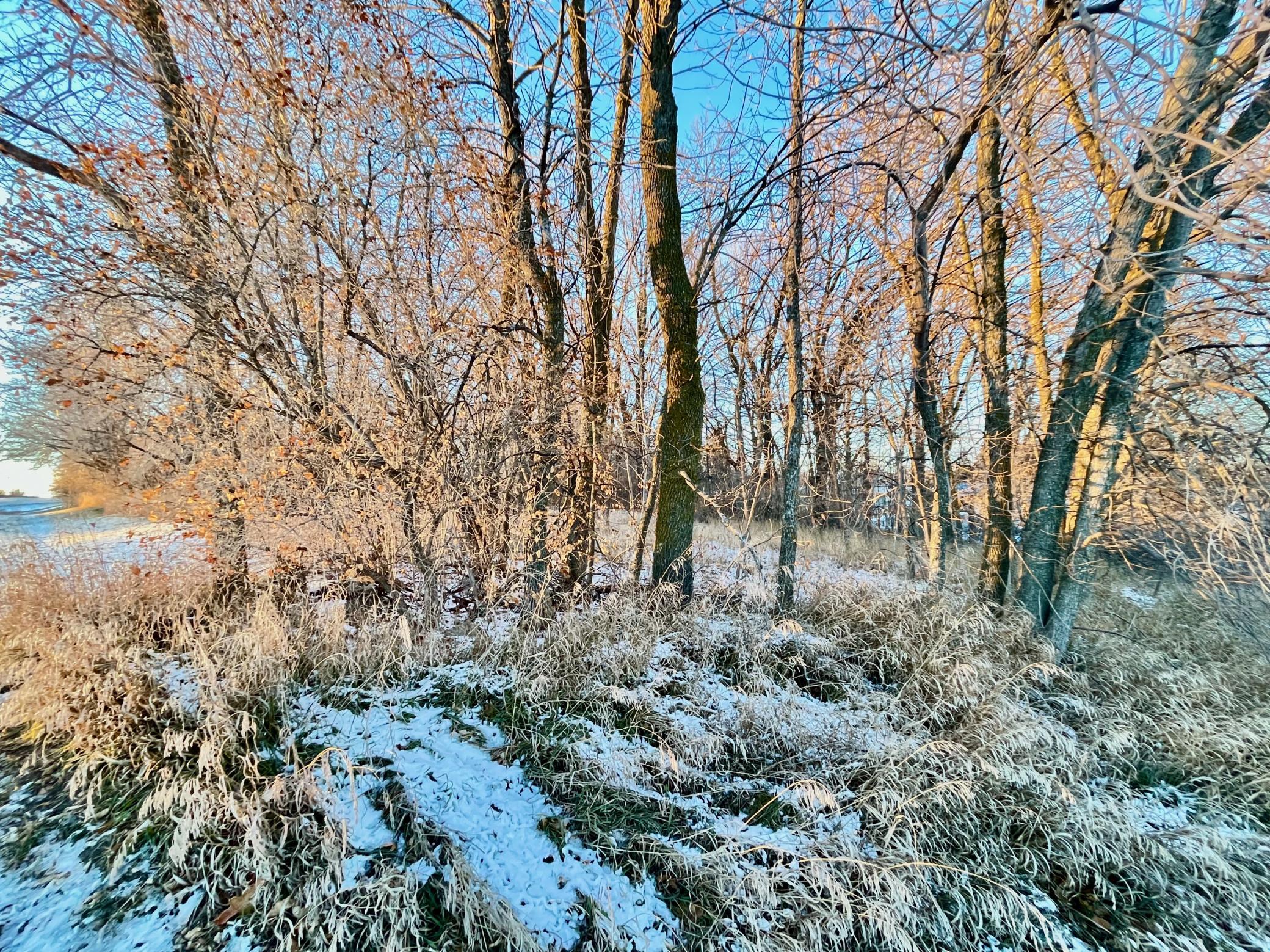 land for sale at 10XX S Broadway in Pelican Rapids, MN (photo 14 of 15)