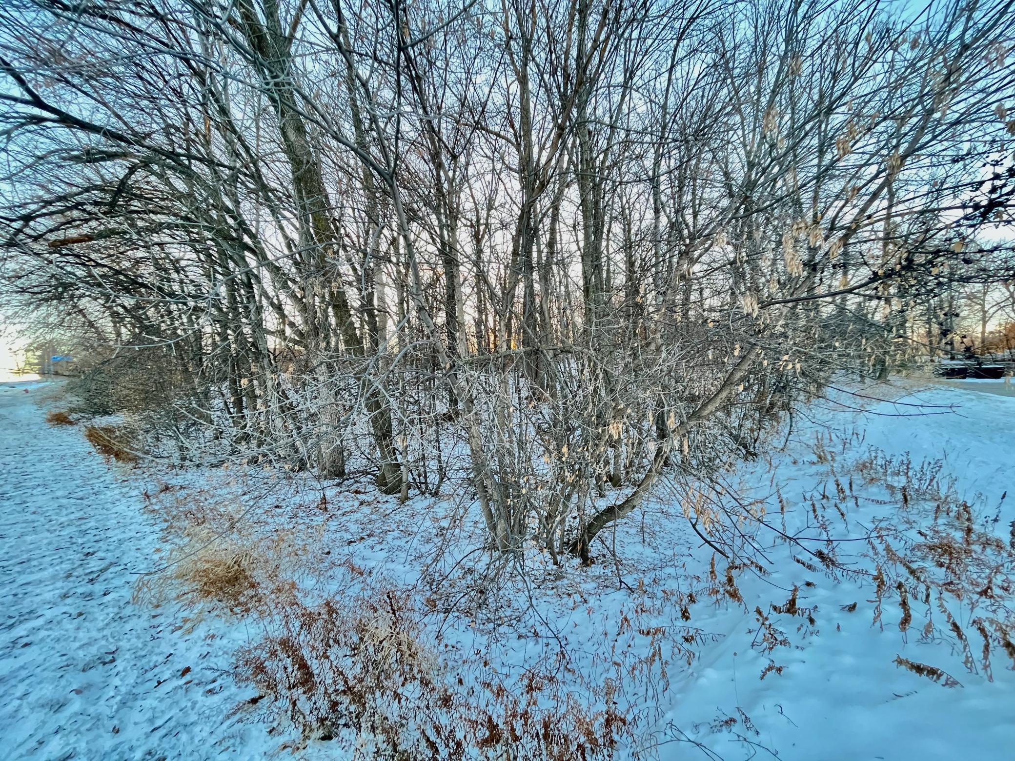 land for sale at 10XX S Broadway in Pelican Rapids, MN (photo 15 of 15)