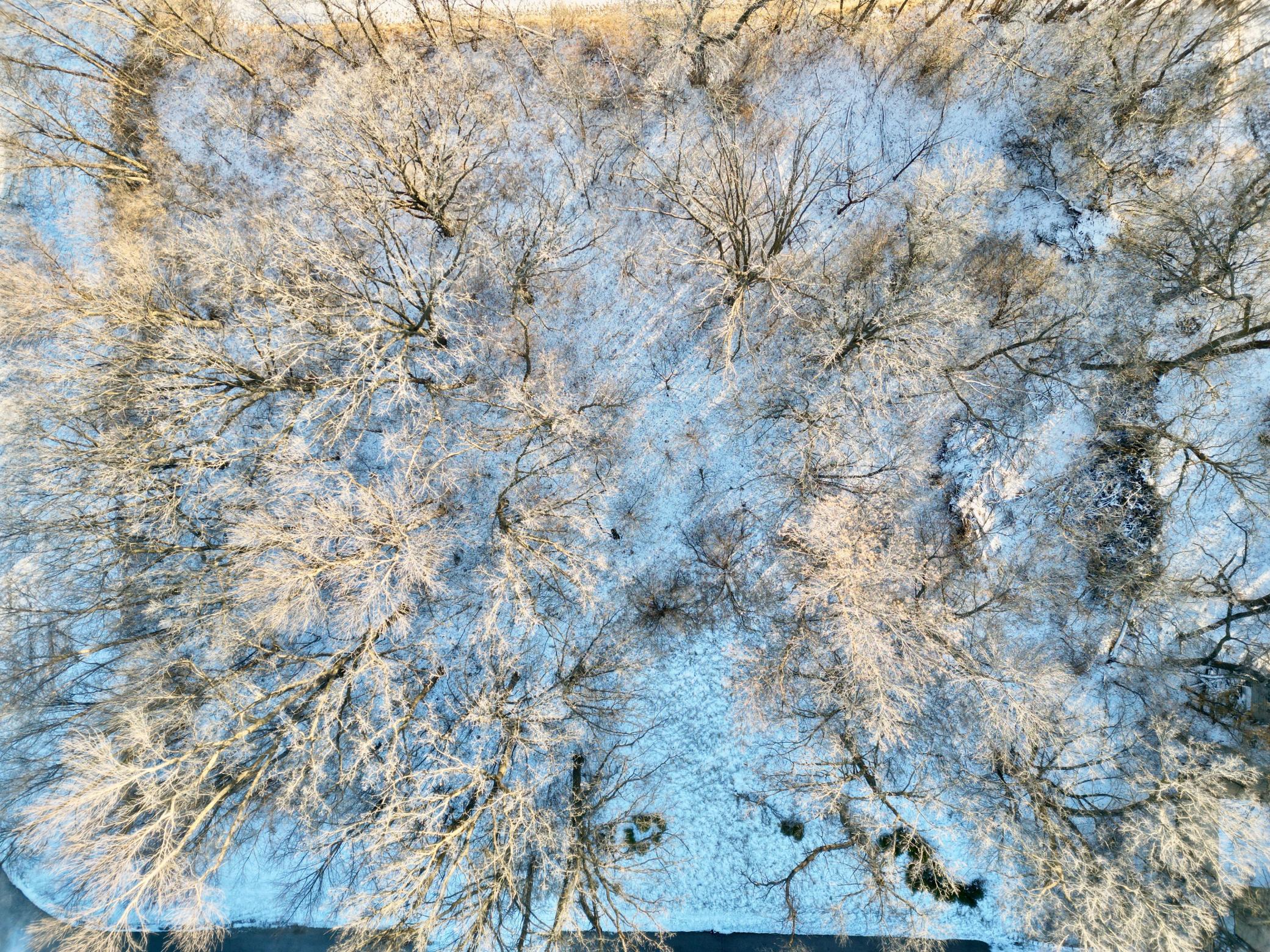 land for sale at 10XX S Broadway in Pelican Rapids, MN (photo 8 of 15)