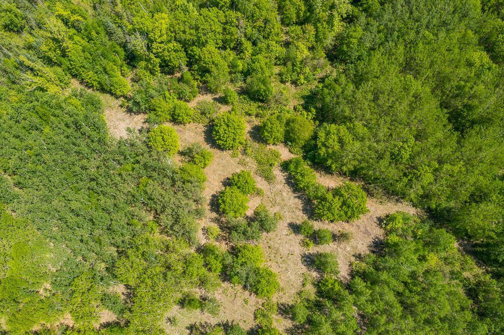 2024 single family home for sale at Lot 29 Sanctuary Path in Brainerd, MN — 3 bed, 2 bath (photo 30 of 42)