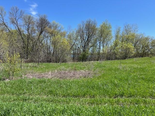 land for sale at Lot 11 Alum Trail in Grey Eagle, MN (photo 3 of 4)