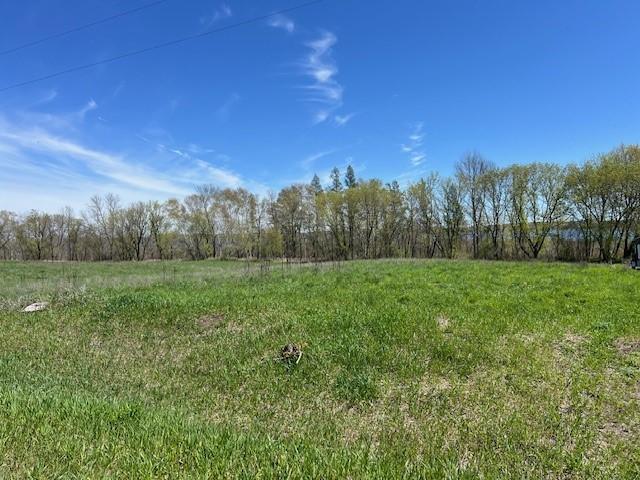 land for sale at Lot 14 Alum Trail in Grey Eagle, MN (photo 3 of 3)