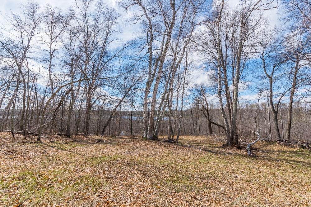 land for sale at TBD - Lot 3 Hurtig Road in Pequot Lakes, MN (photo 16 of 24)