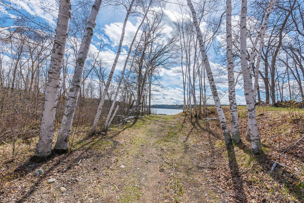 land for sale at TBD - Lot 4 Hurtig Road in Pequot Lakes, MN (photo 12 of 24)