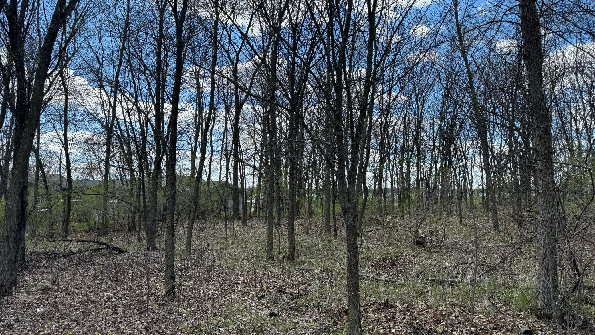 land for sale at Lot 16 Sunset Strip NW in Alexandria, MN (photo 33 of 45)