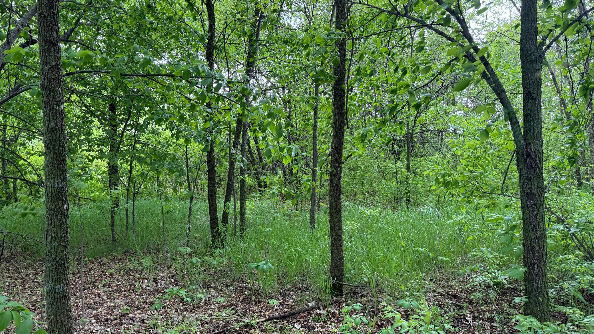 land for sale at Lot 16 Sunset Strip NW in Alexandria, MN (photo 34 of 45)