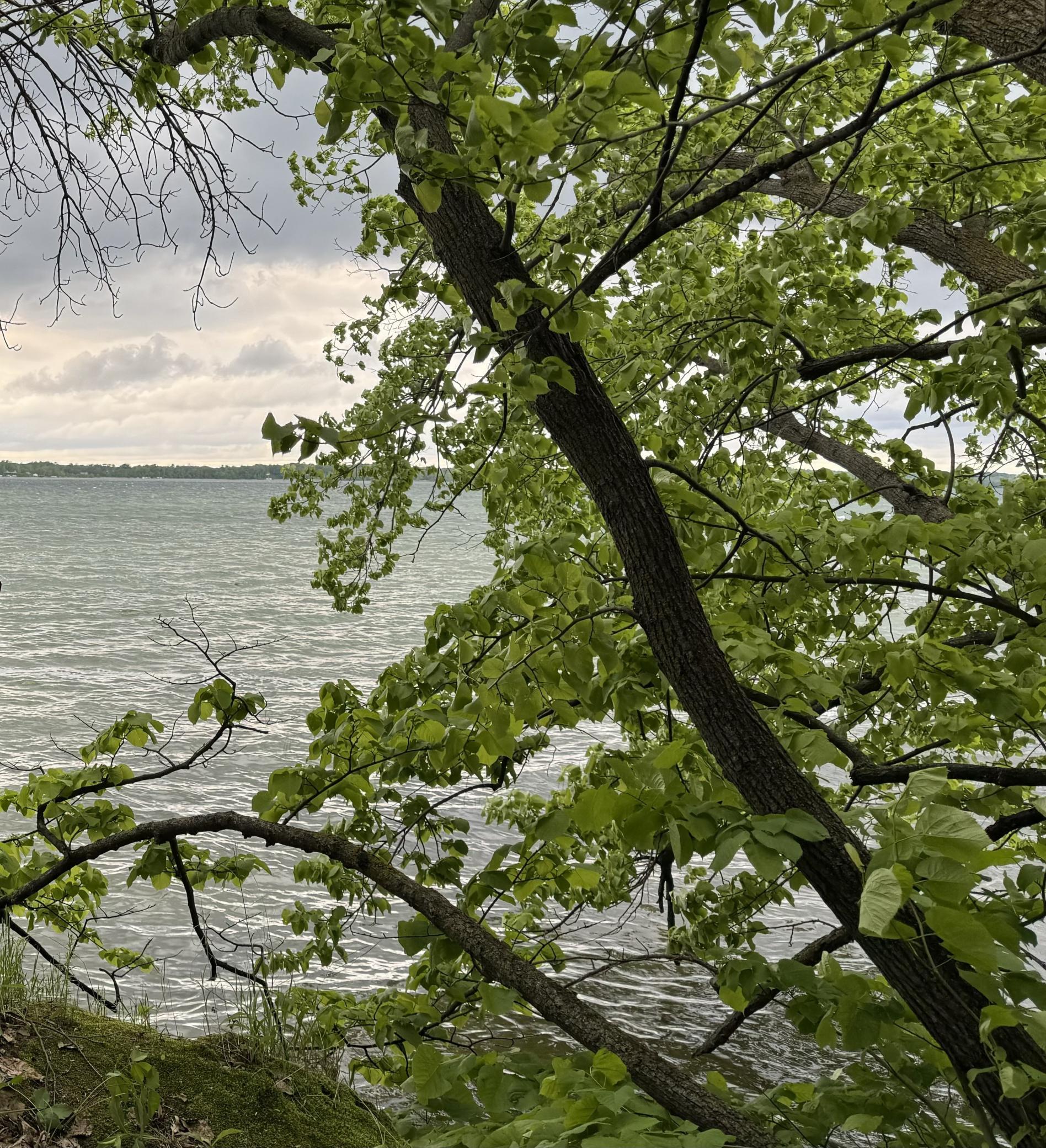land for sale at Lot 15 Sunset Strip NW in Alexandria, MN (photo 27 of 45)