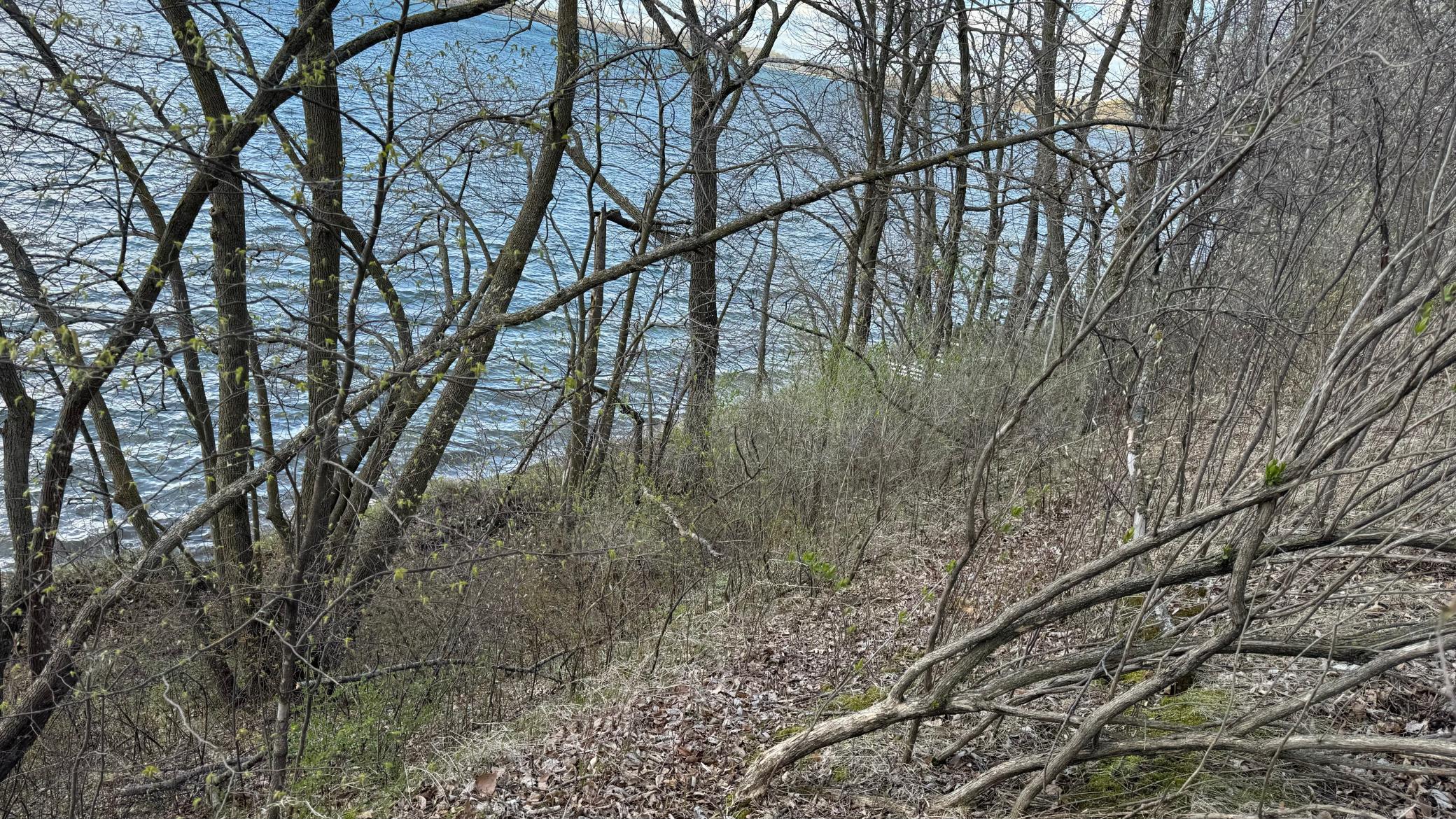 land for sale at Lot 15 Sunset Strip NW in Alexandria, MN (photo 32 of 45)