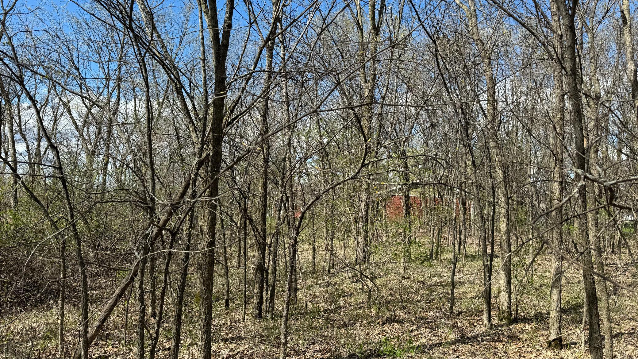land for sale at Lot 15 Sunset Strip NW in Alexandria, MN (photo 36 of 45)