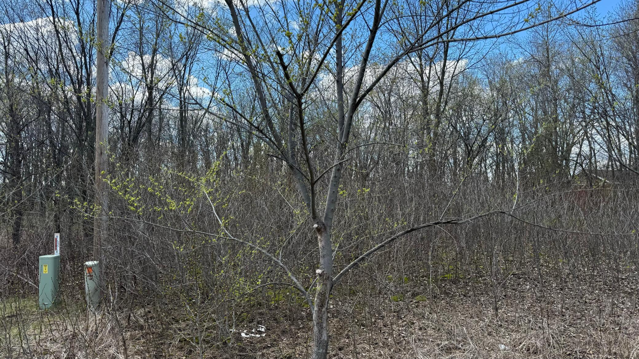 land for sale at Lot 15 Sunset Strip NW in Alexandria, MN (photo 39 of 45)