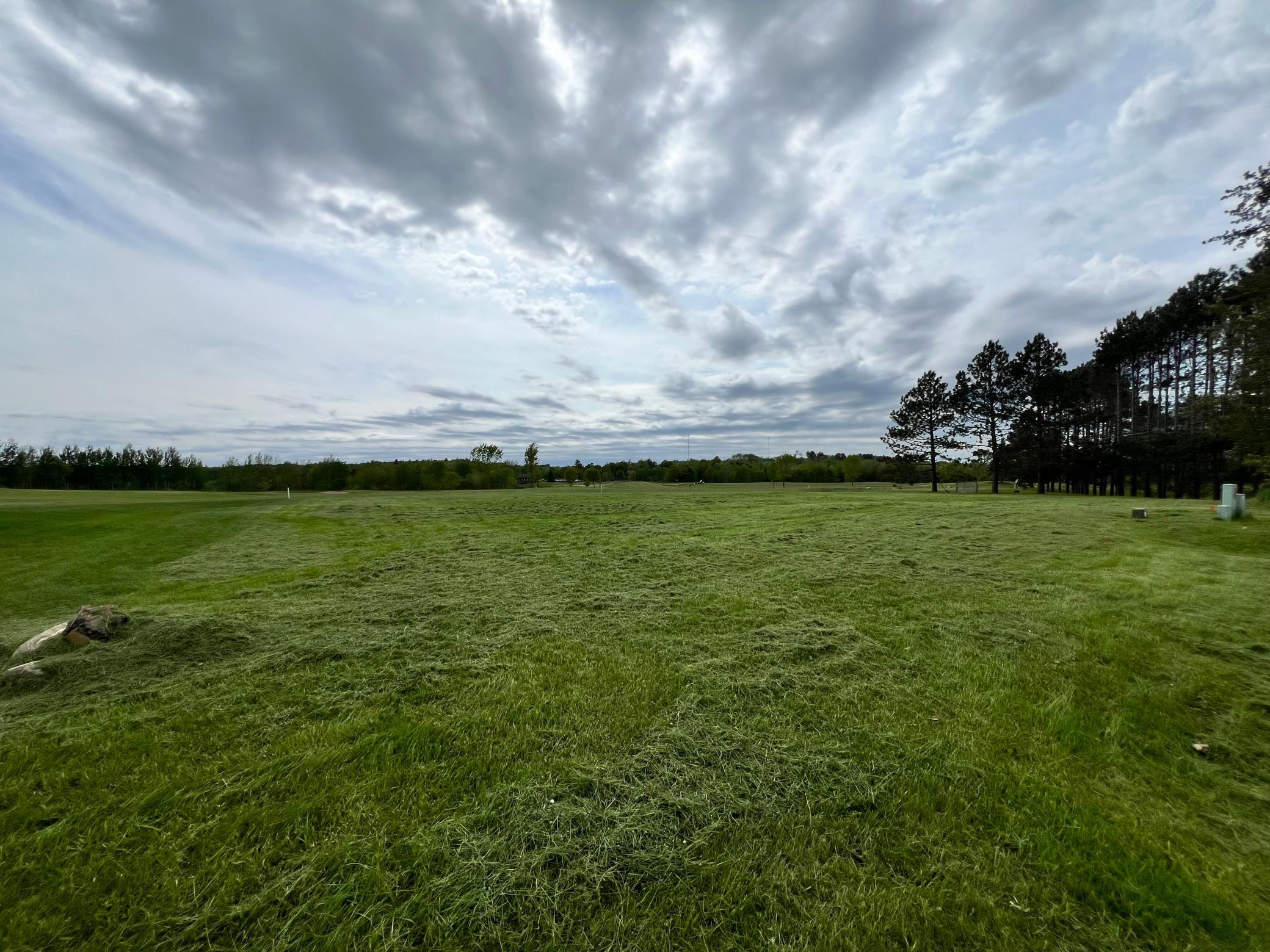 land for sale at Lot 7 Congdon in Coleraine, MN (photo 6 of 9)