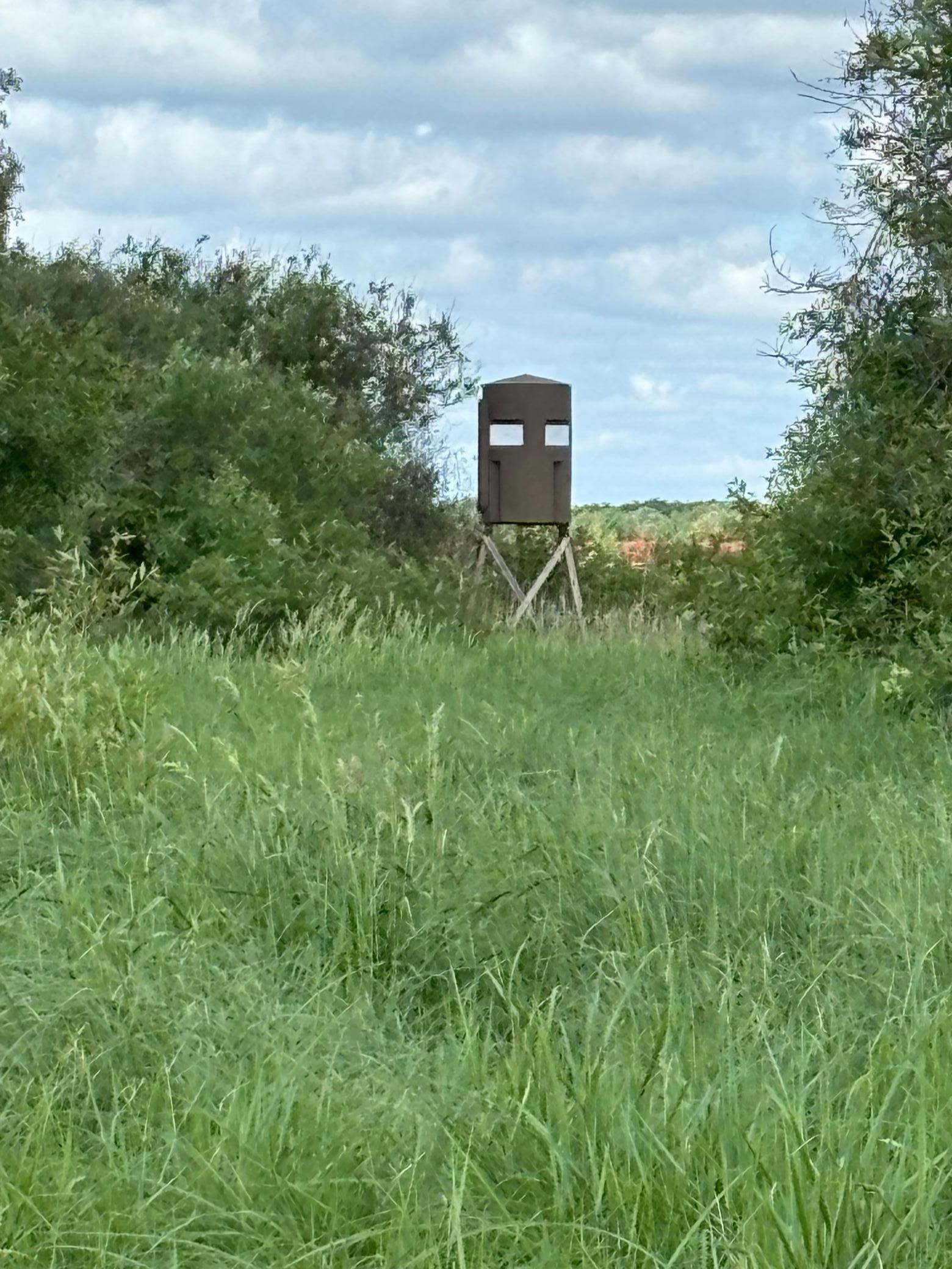 land for sale at TBD County Road 7 in Bagley, MN