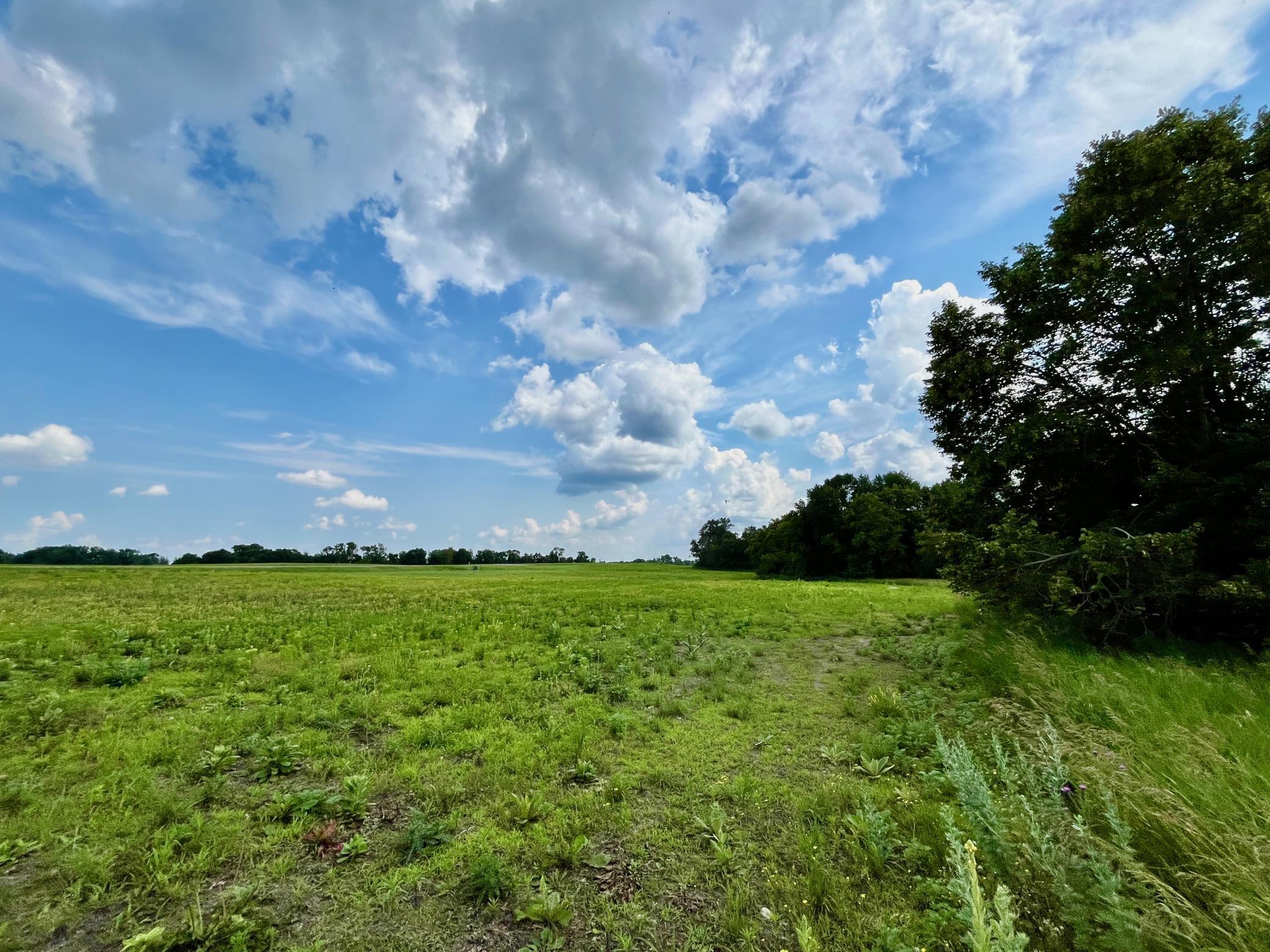 land for sale at Lot 17 Block 2 River View Trail in Pelican Rapids, MN (photo 12 of 24)