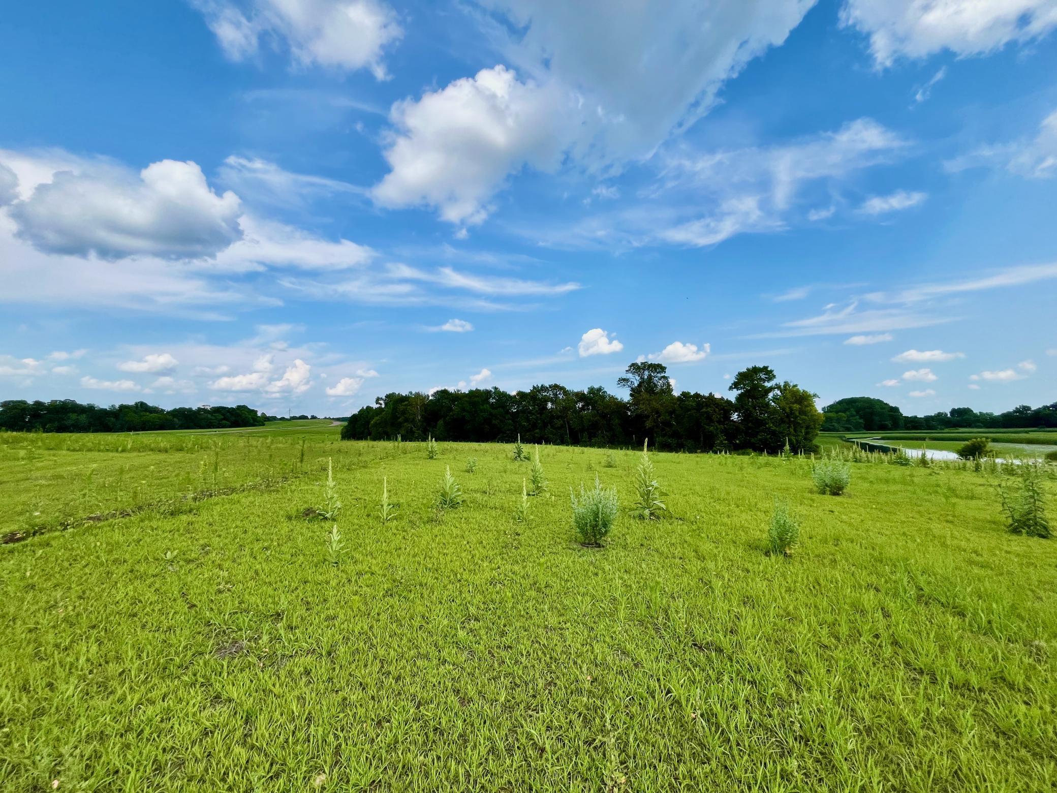 land for sale at Lot 17 Block 2 River View Trail in Pelican Rapids, MN (photo 16 of 24)