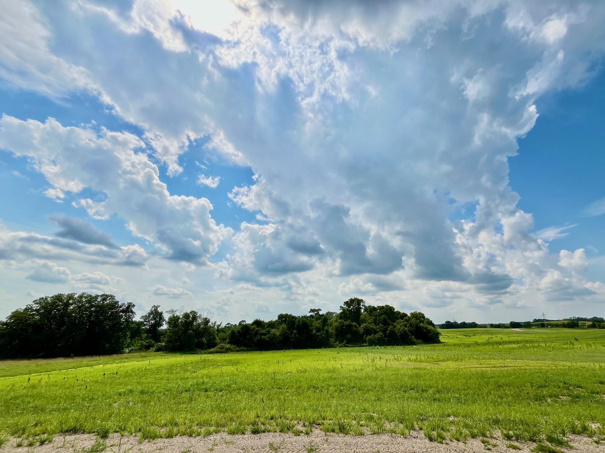 land for sale at Lot 17 Block 2 River View Trail in Pelican Rapids, MN (photo 8 of 24)