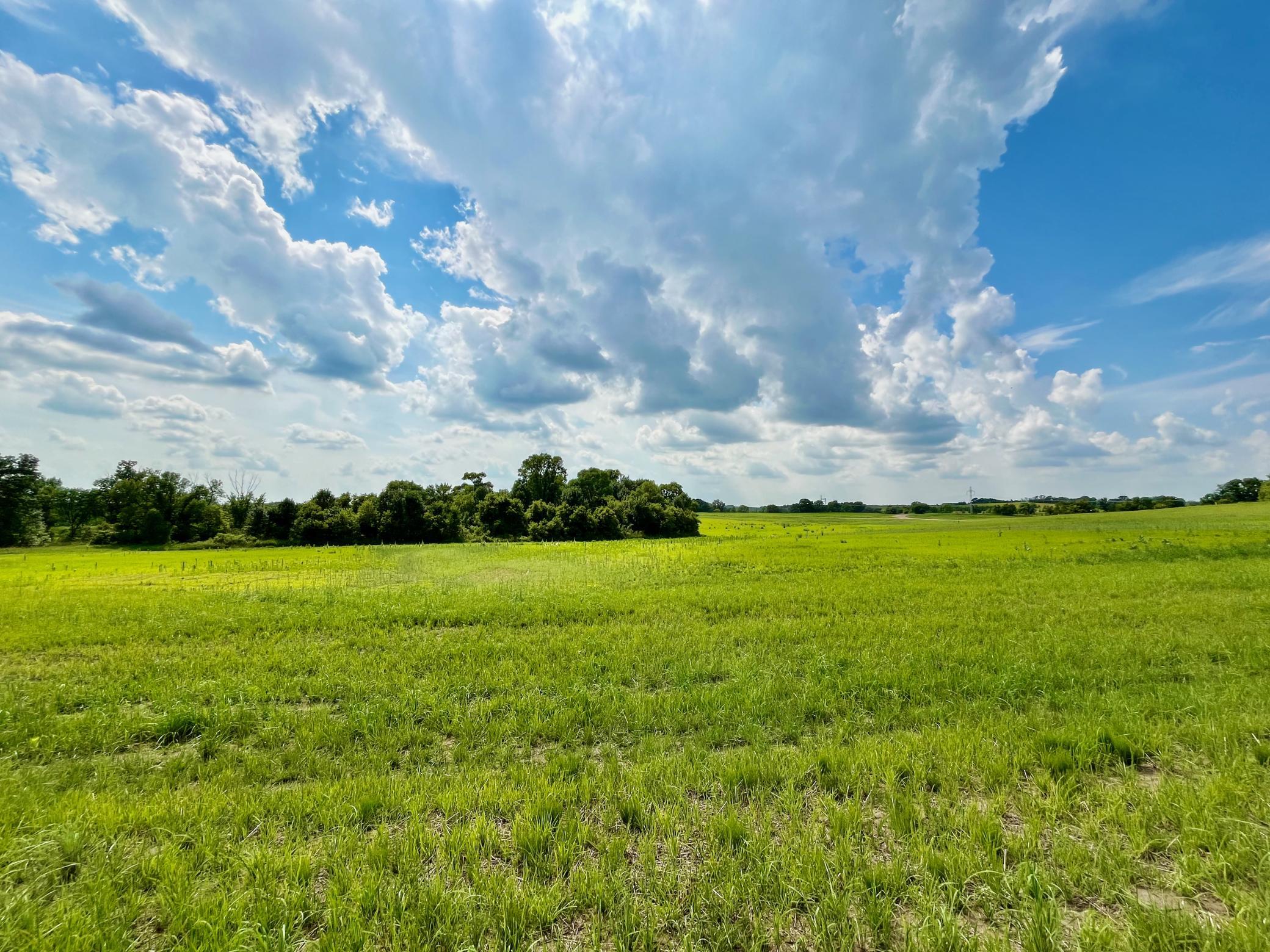 land for sale at Lot 5 Block 1 River View Trail in Pelican Rapids, MN (photo 8 of 18)