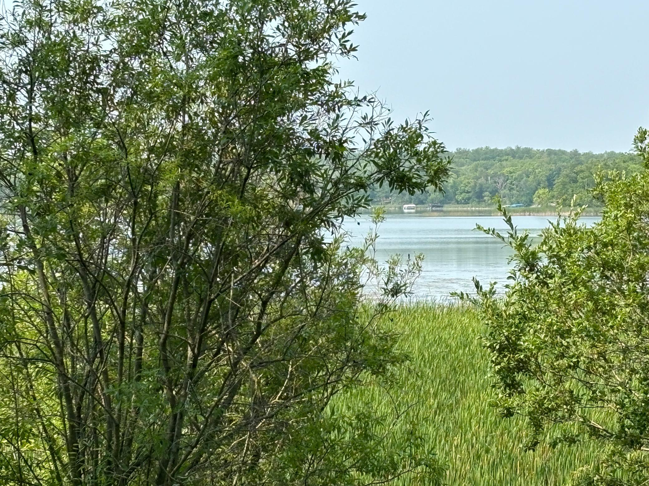 land for sale at 1246 Island Lake Resort Drive in Lengby, MN (photo 2 of 14)