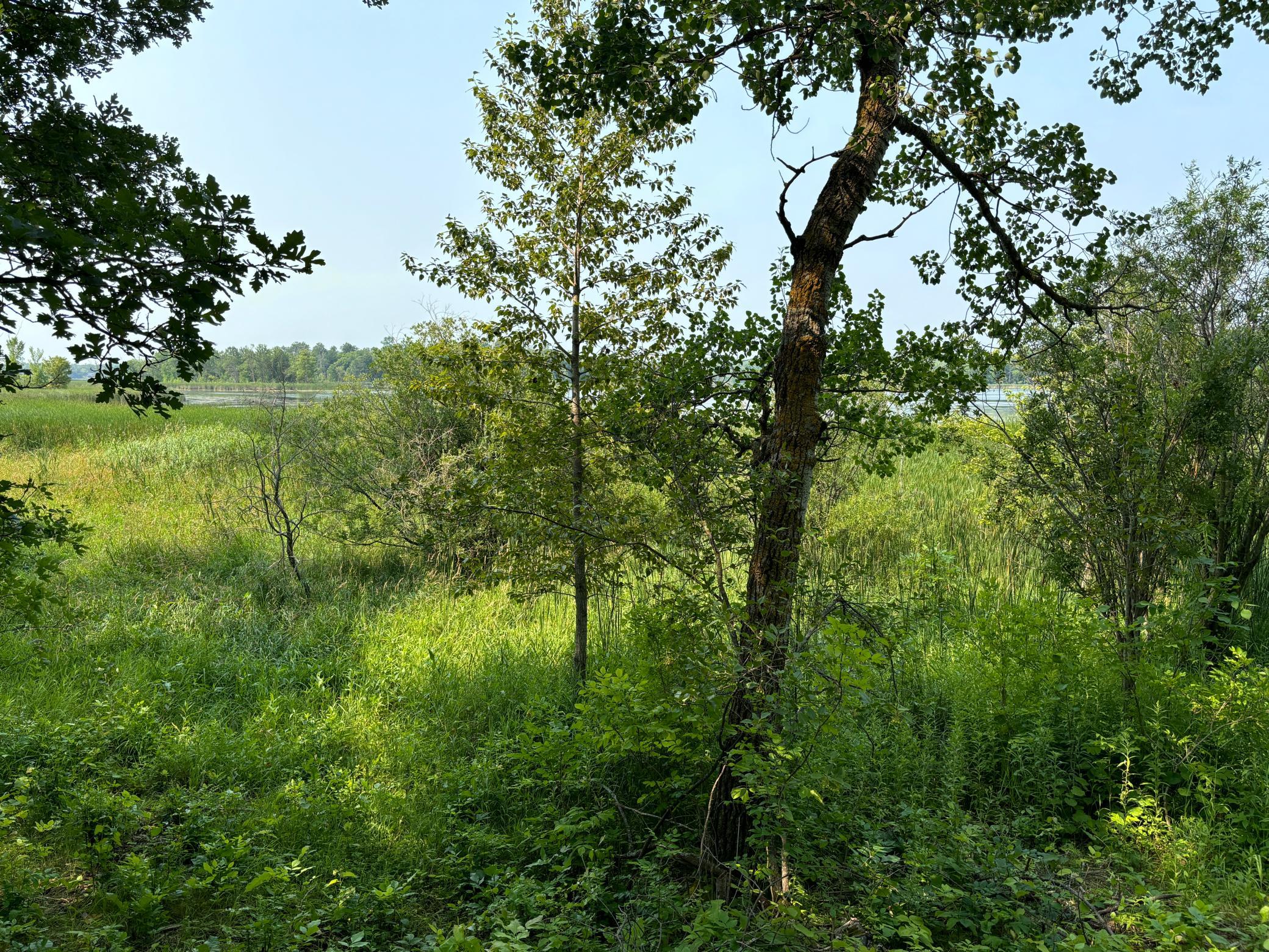 land for sale at 1246 Island Lake Resort Drive in Lengby, MN (photo 11 of 14)