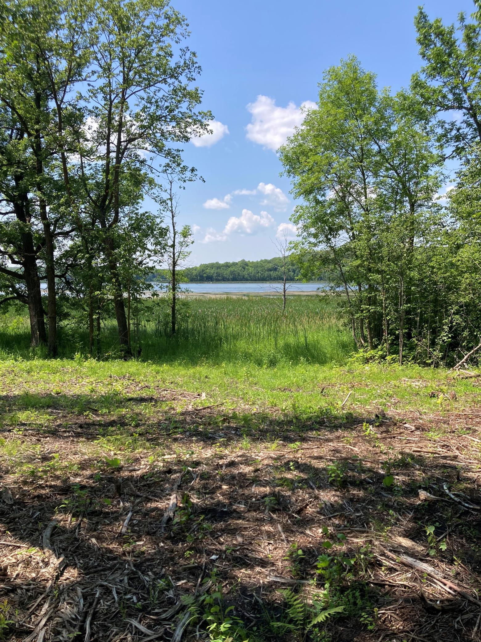 land for sale at 1246 Island Lake Resort Drive in Lengby, MN (photo 13 of 14)