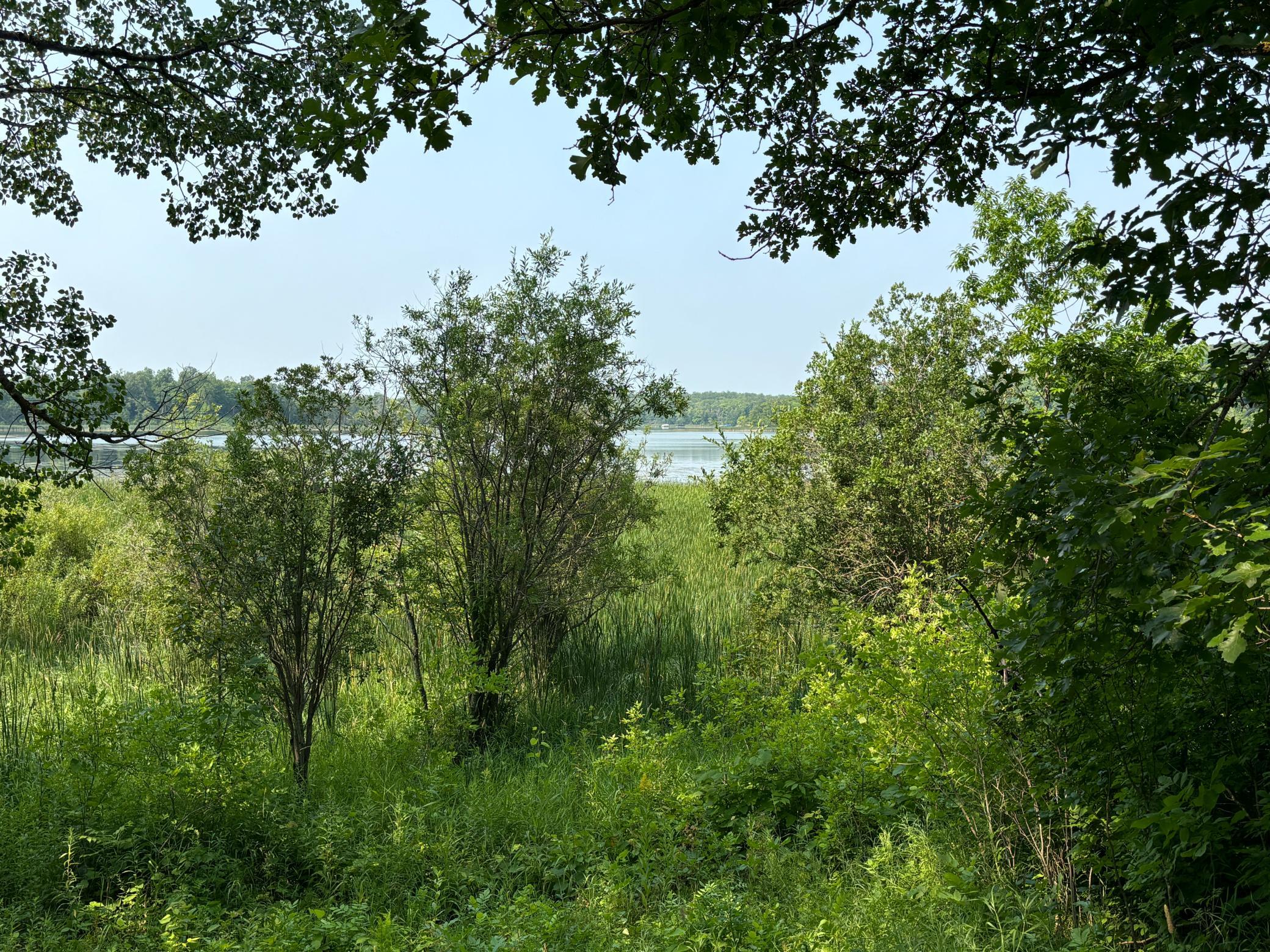 land for sale at 1246 Island Lake Resort Drive in Lengby, MN (photo 3 of 14)