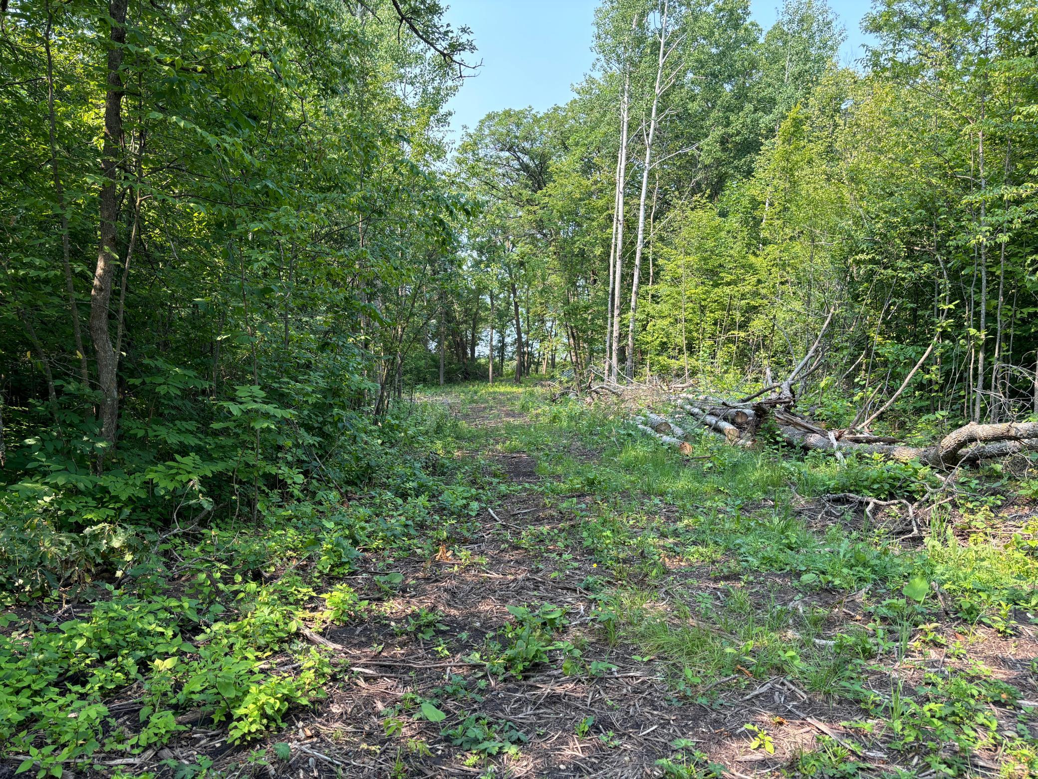 land for sale at 1246 Island Lake Resort Drive in Lengby, MN (photo 4 of 14)