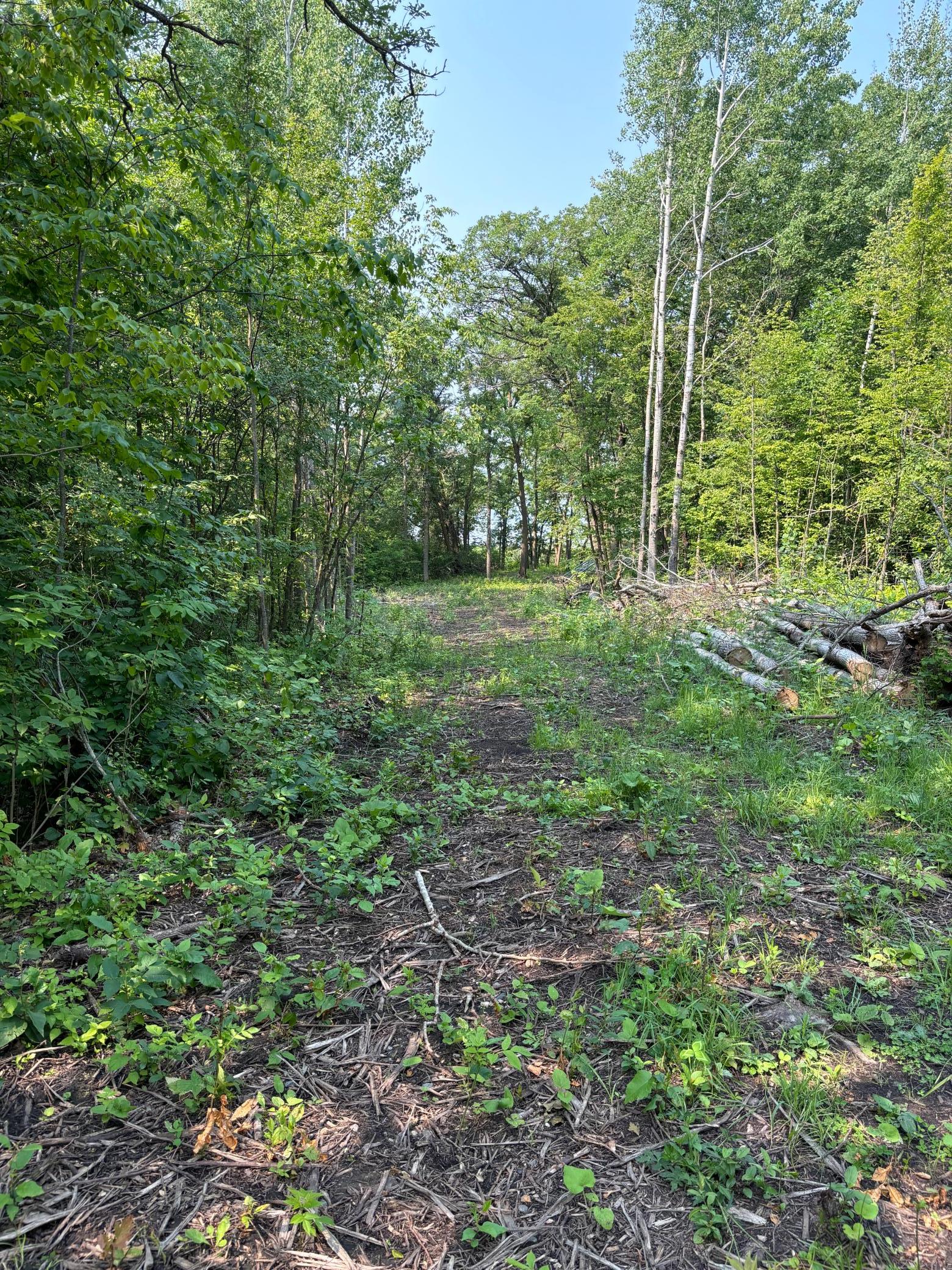 land for sale at 1246 Island Lake Resort Drive in Lengby, MN (photo 5 of 14)