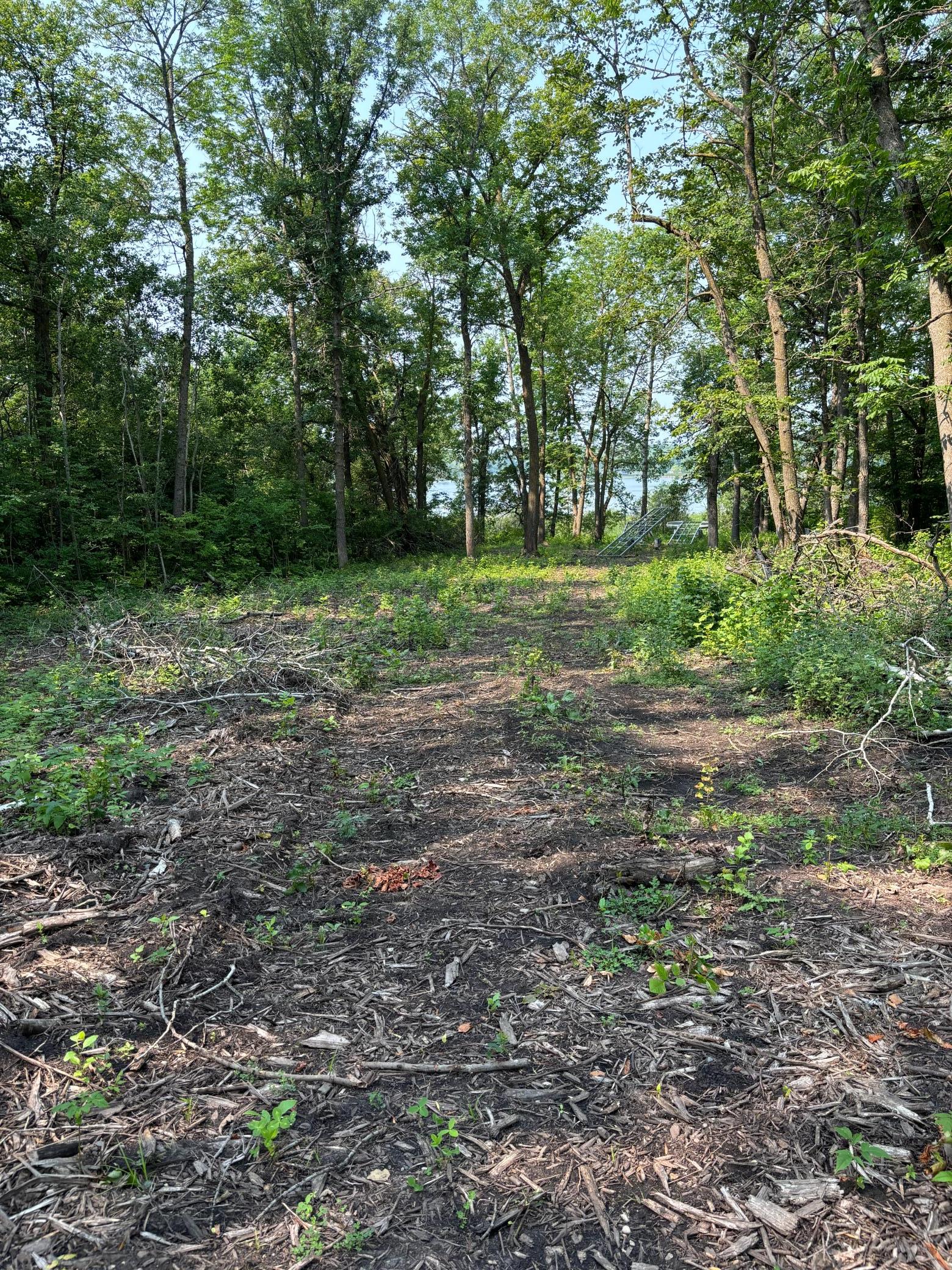 land for sale at 1246 Island Lake Resort Drive in Lengby, MN (photo 6 of 14)