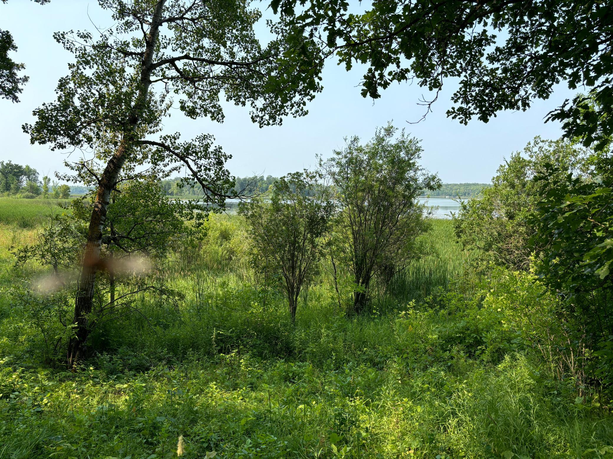 land for sale at 1246 Island Lake Resort Drive in Lengby, MN (photo 7 of 14)