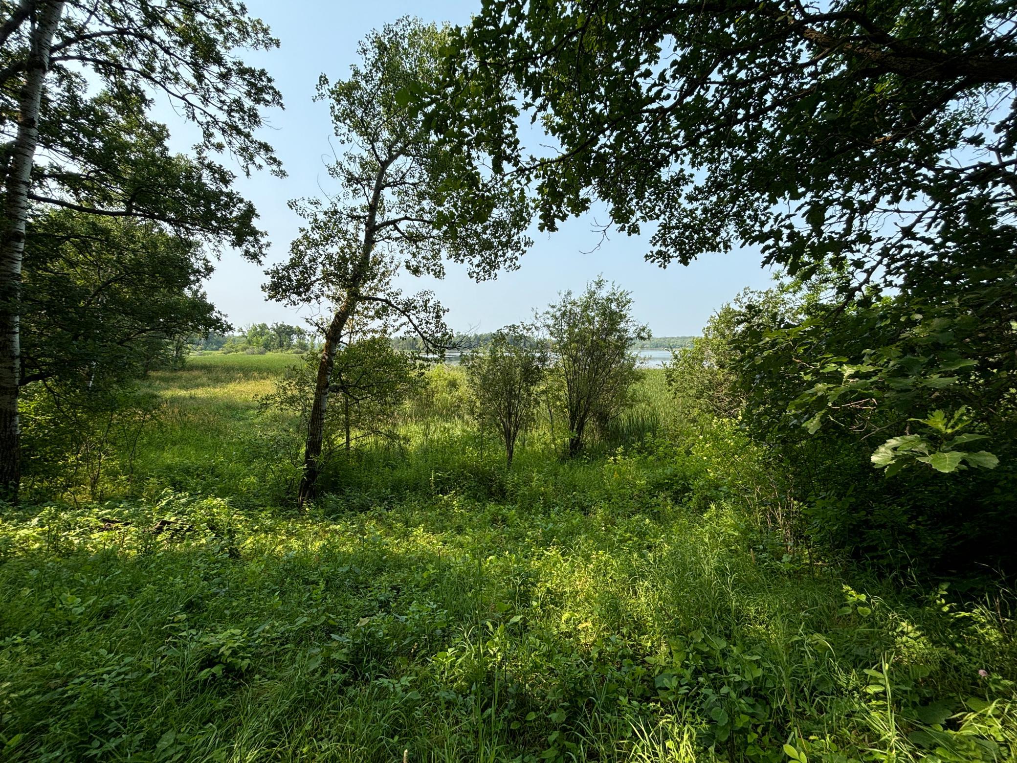 land for sale at 1246 Island Lake Resort Drive in Lengby, MN (photo 8 of 14)