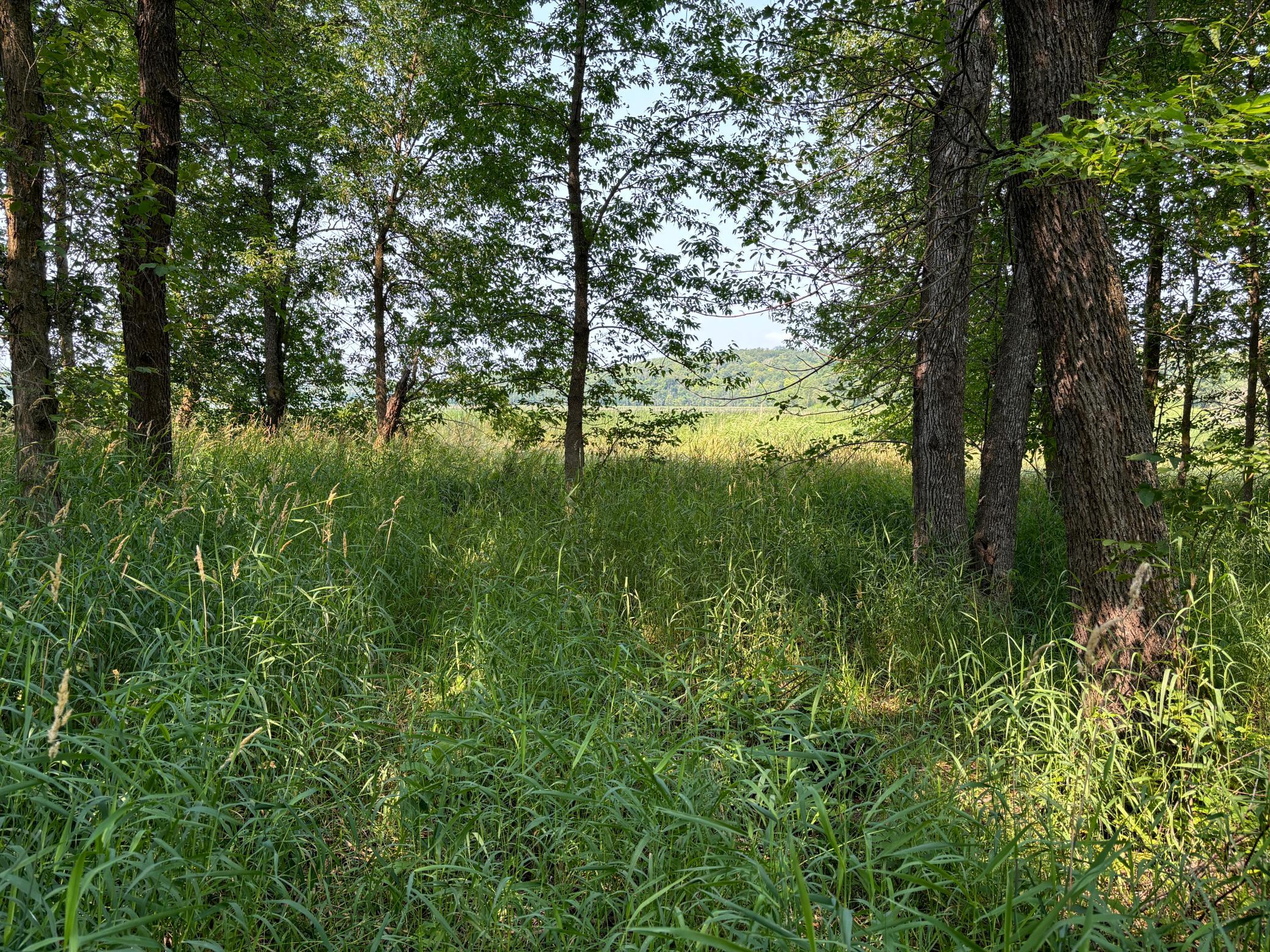 land for sale at 1250 Island Lake Resort Drive in Lengby, MN (photo 2 of 8)