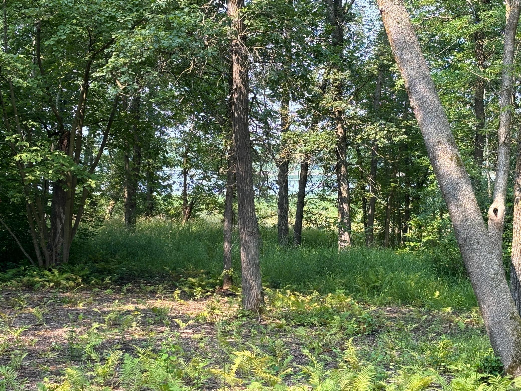 land for sale at 1250 Island Lake Resort Drive in Lengby, MN (photo 3 of 8)
