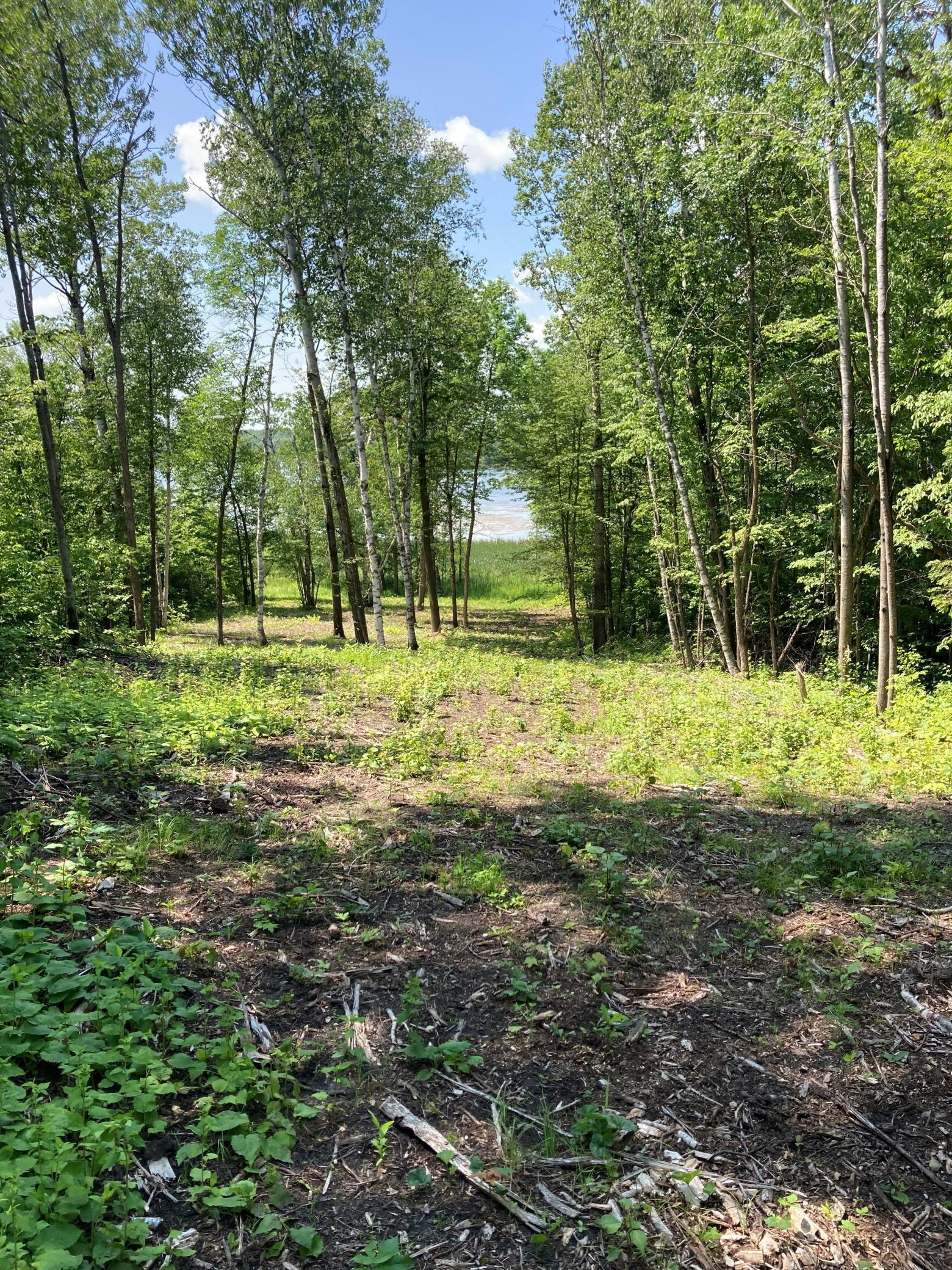 land for sale at 1250 Island Lake Resort Drive in Lengby, MN (photo 4 of 8)
