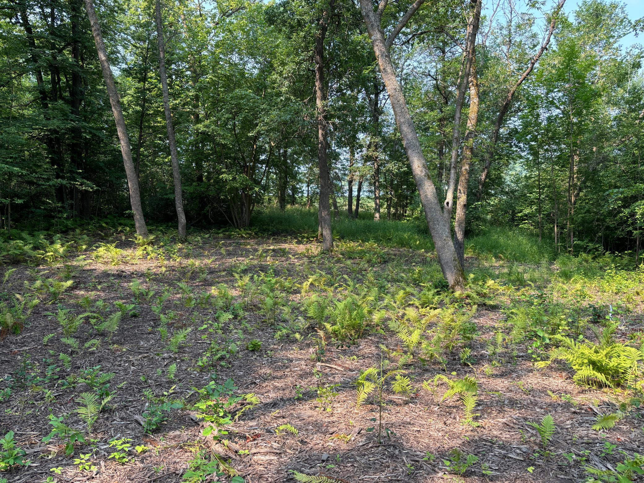 land for sale at 1250 Island Lake Resort Drive in Lengby, MN (photo 7 of 8)