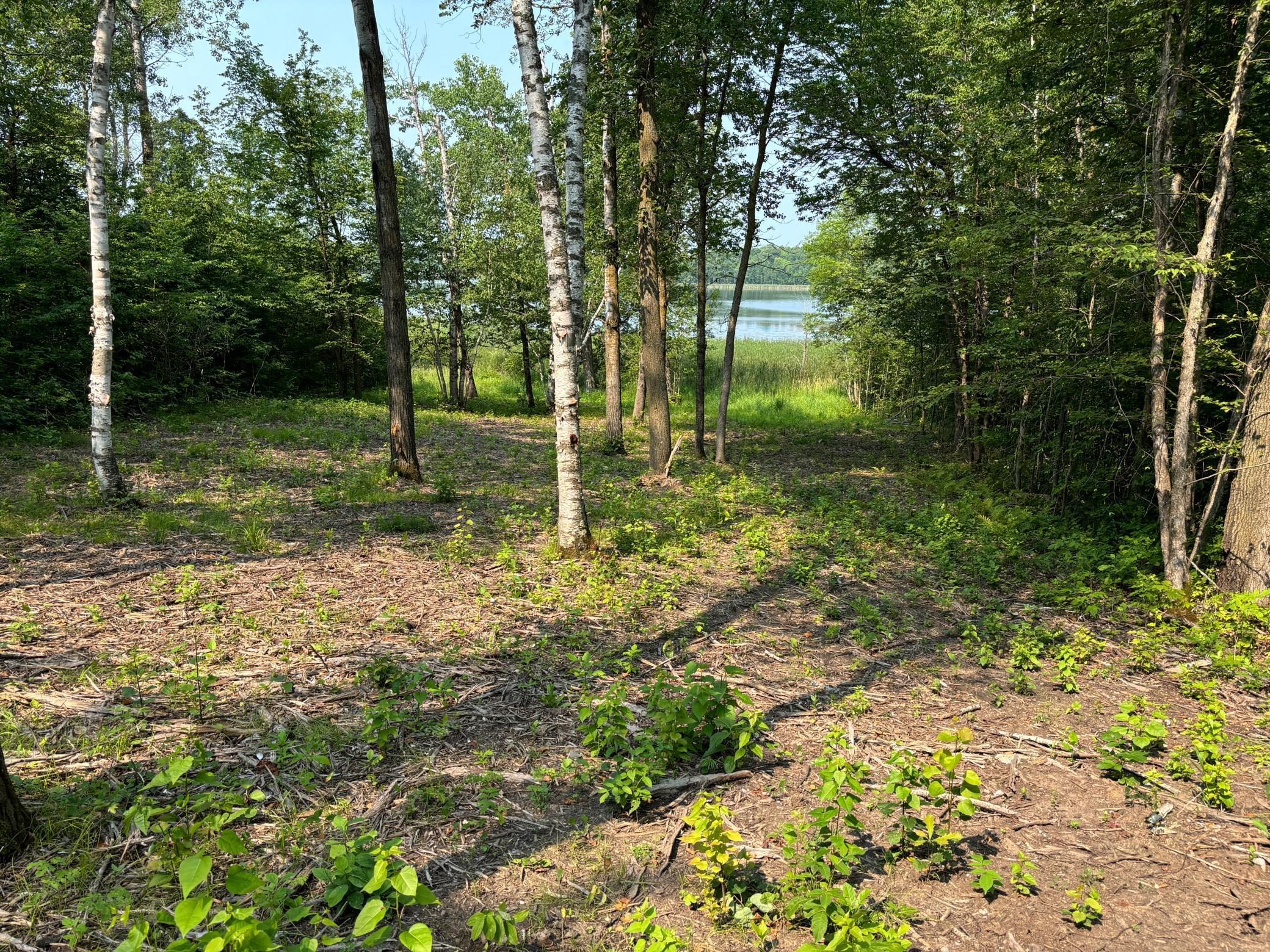 land for sale at 1254 Island Lake Resort Drive in Lengby, MN (photo 2 of 6)