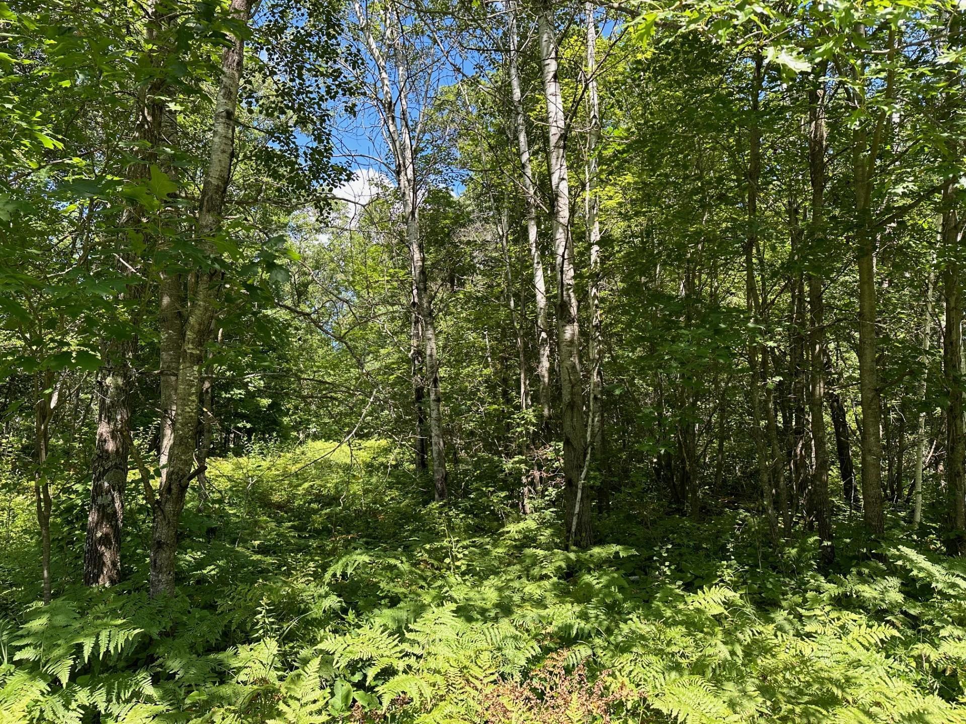 land for sale at TBD Nokay Hall Road in Brainerd, MN (photo 2 of 31)