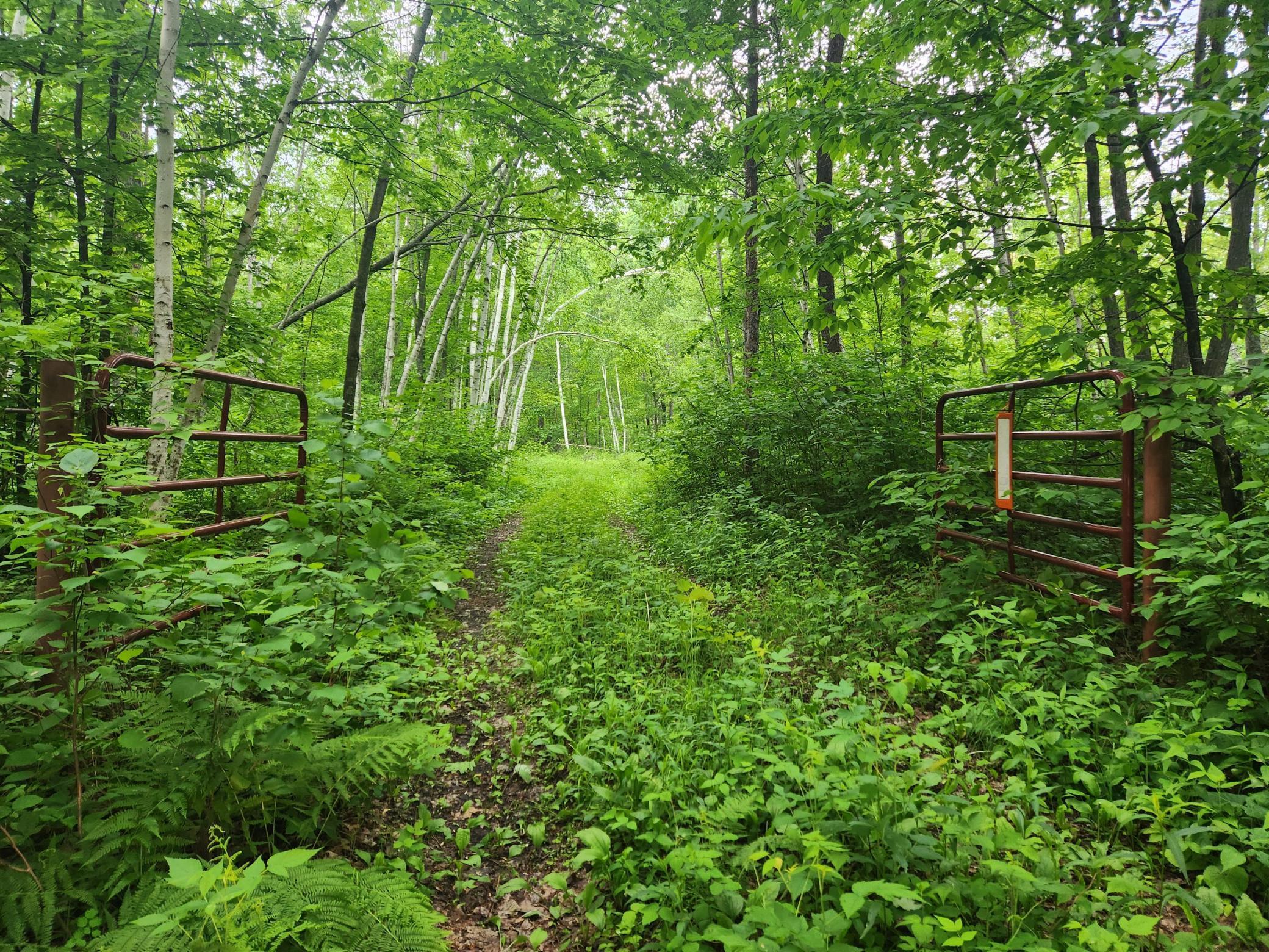 land for sale at TBD Nokay Hall Road in Brainerd, MN (photo 11 of 31)