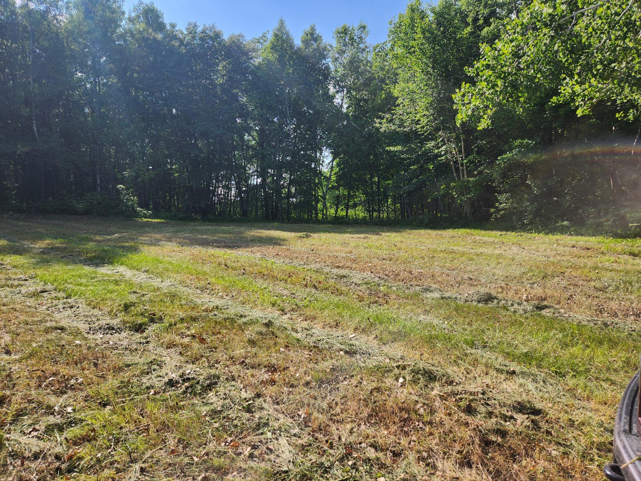 land for sale at TBD Nokay Hall Road in Brainerd, MN (photo 12 of 31)